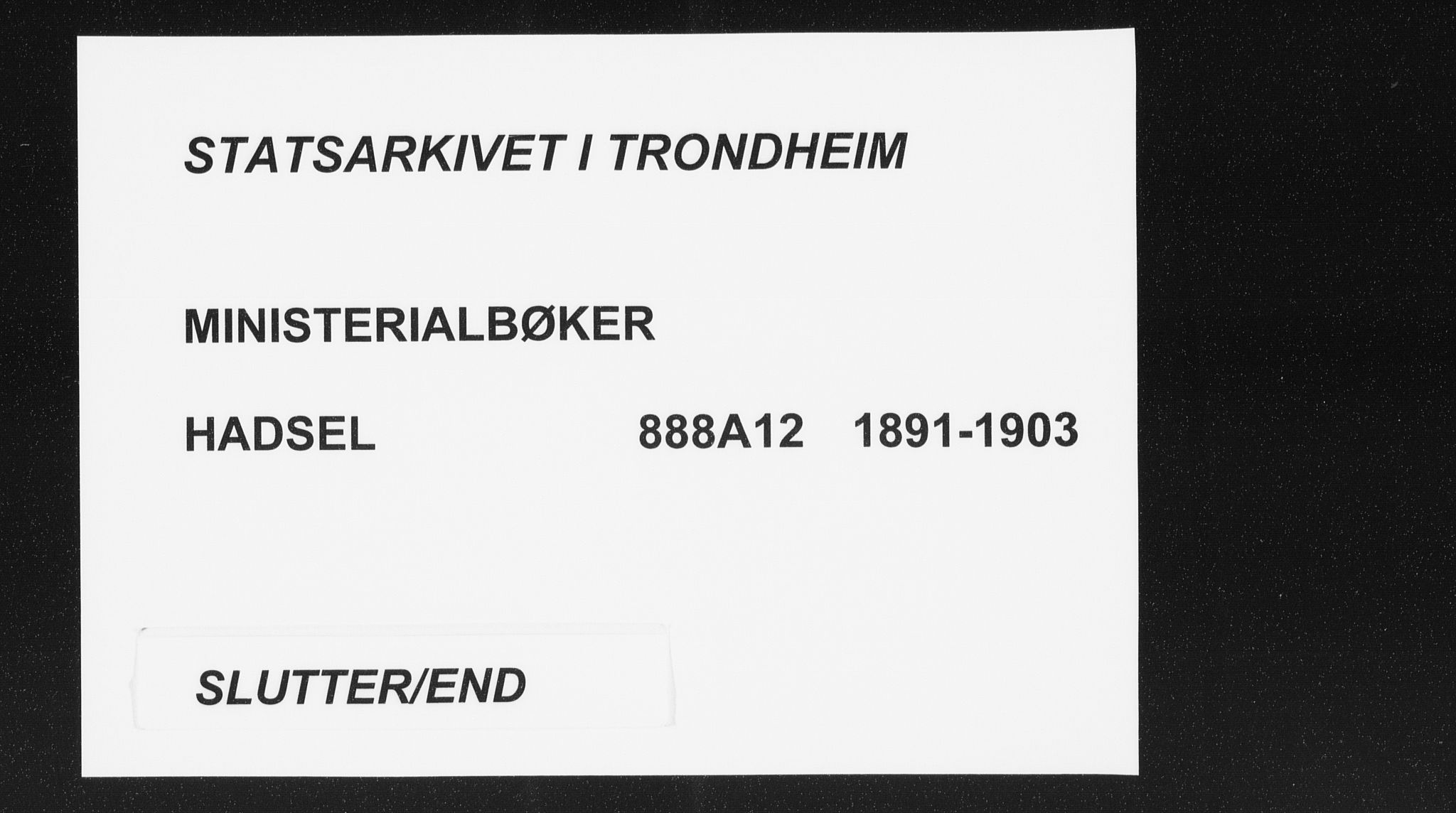 Ministerialprotokoller, klokkerbøker og fødselsregistre - Nordland, SAT/A-1459/888/L1246: Parish register (official) no. 888A12, 1891-1903