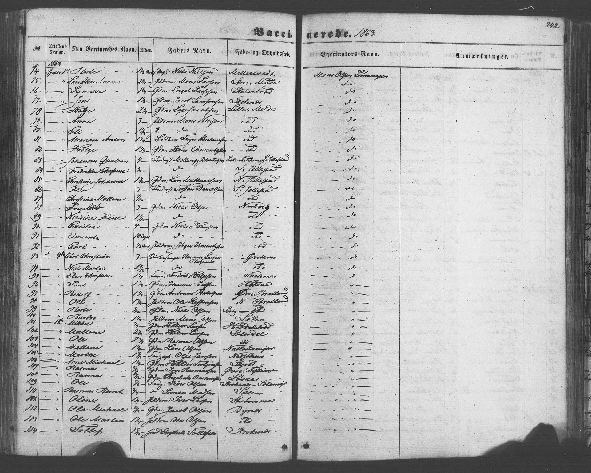 Fana Sokneprestembete, SAB/A-75101/H/Haa/Haaa/L0012: Parish register (official) no. A 12, 1862-1878, p. 242
