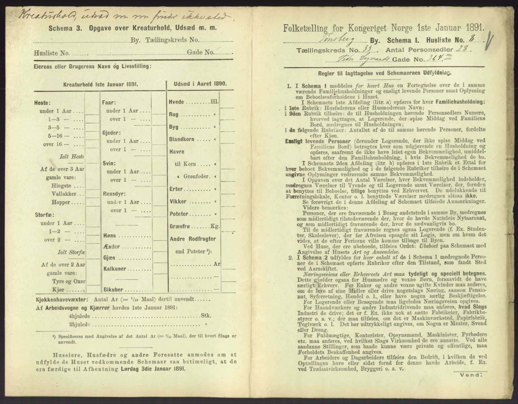 RA, 1891 census for 0705 Tønsberg, 1891, p. 1020