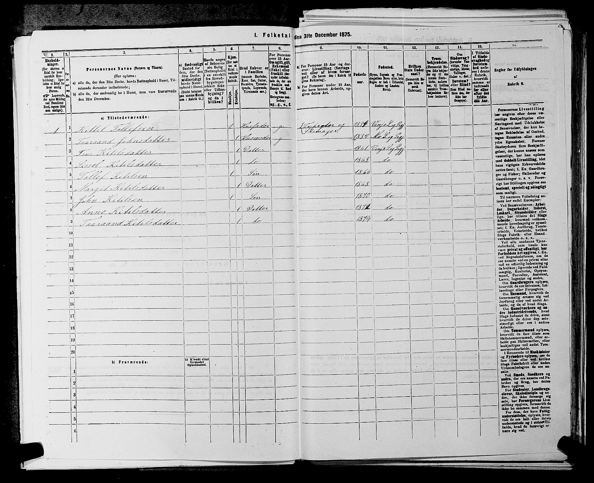 SAKO, 1875 census for 0834P Vinje, 1875, p. 244