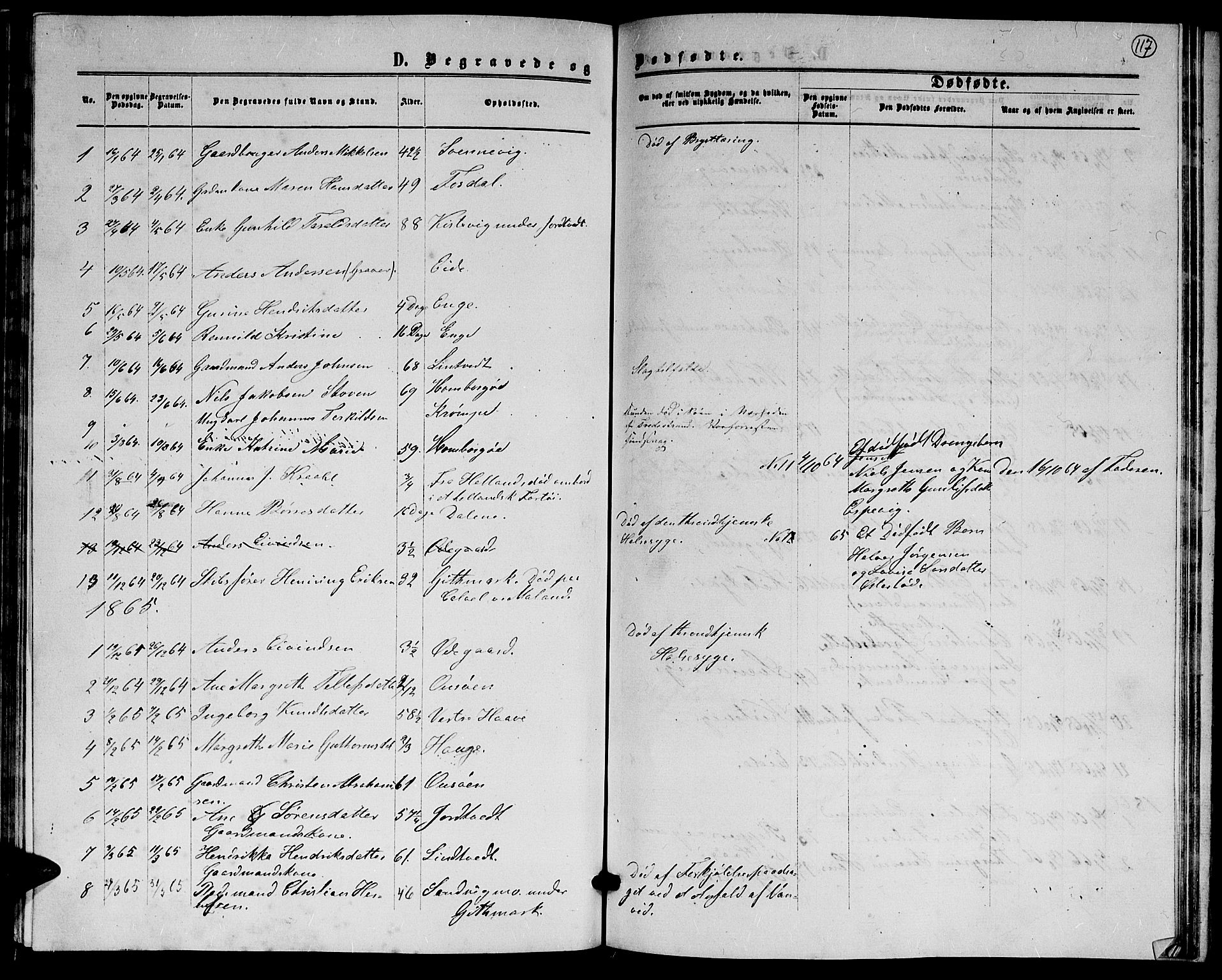 Hommedal sokneprestkontor, AV/SAK-1111-0023/F/Fb/Fba/L0003: Parish register (copy) no. B 3, 1863-1884, p. 117