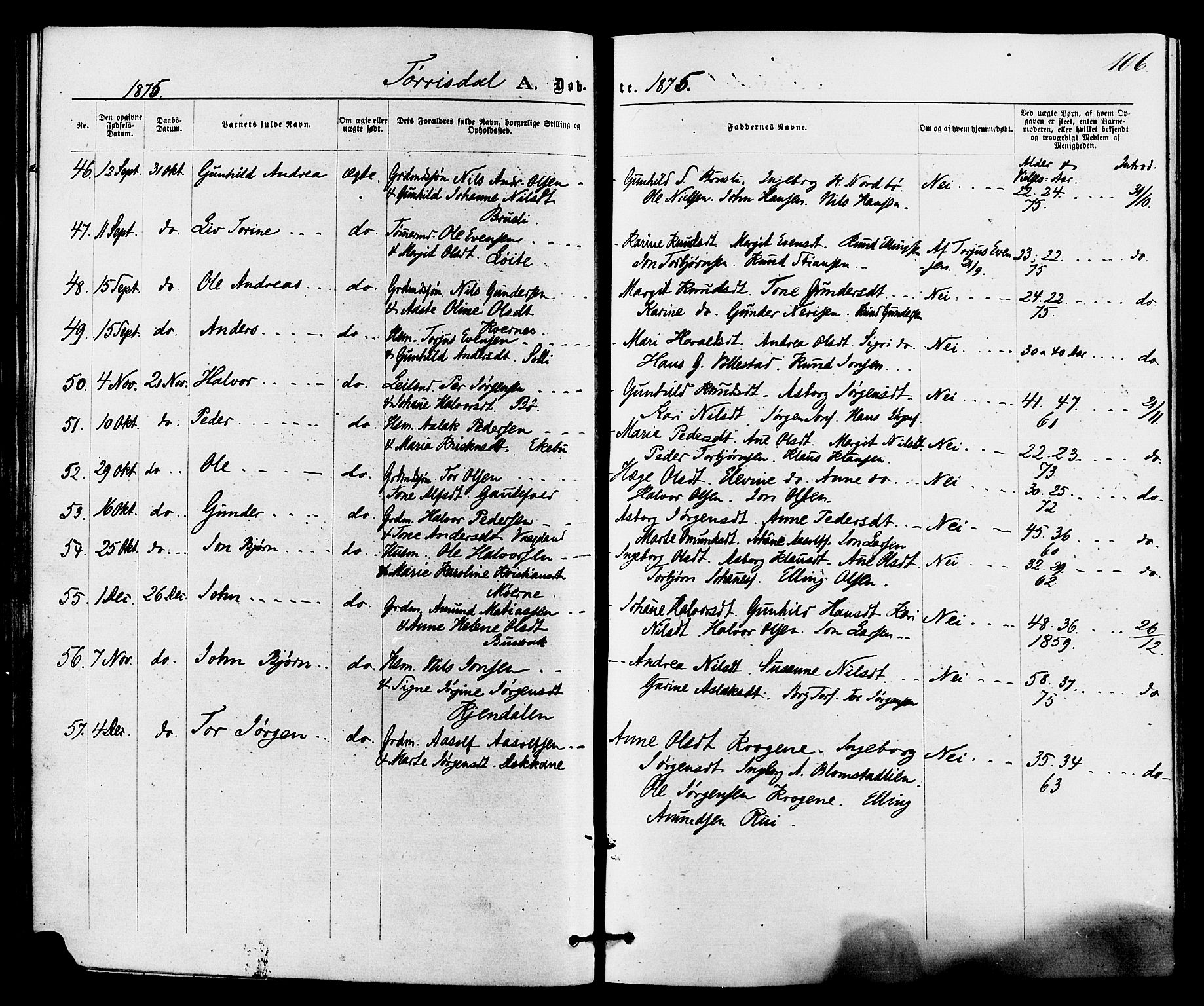 Drangedal kirkebøker, SAKO/A-258/F/Fa/L0009: Parish register (official) no. 9 /2, 1872-1884, p. 106