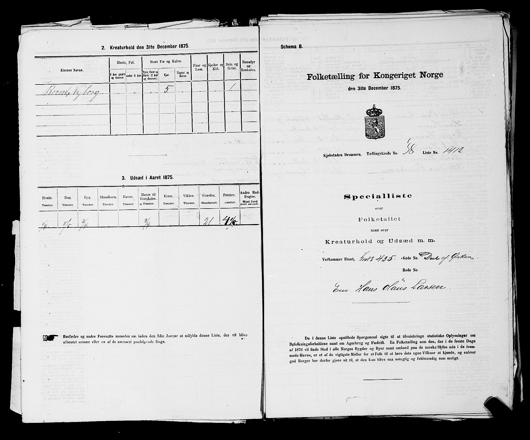 SAKO, 1875 census for 0602 Drammen, 1875, p. 3237