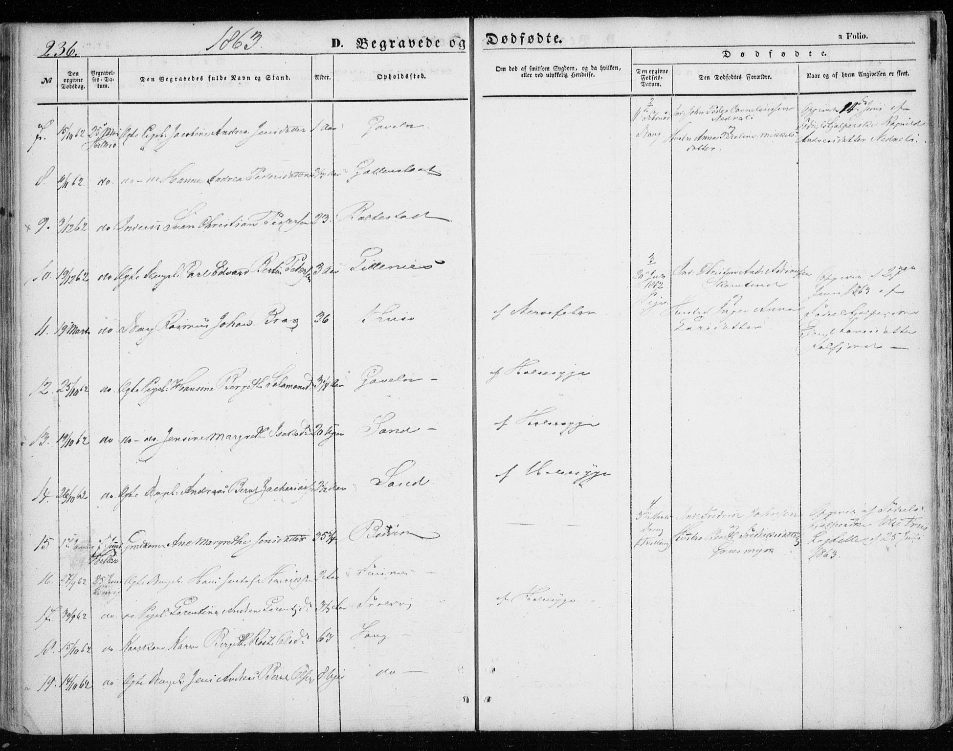 Lenvik sokneprestembete, SATØ/S-1310/H/Ha/Haa/L0007kirke: Parish register (official) no. 7, 1855-1865, p. 236