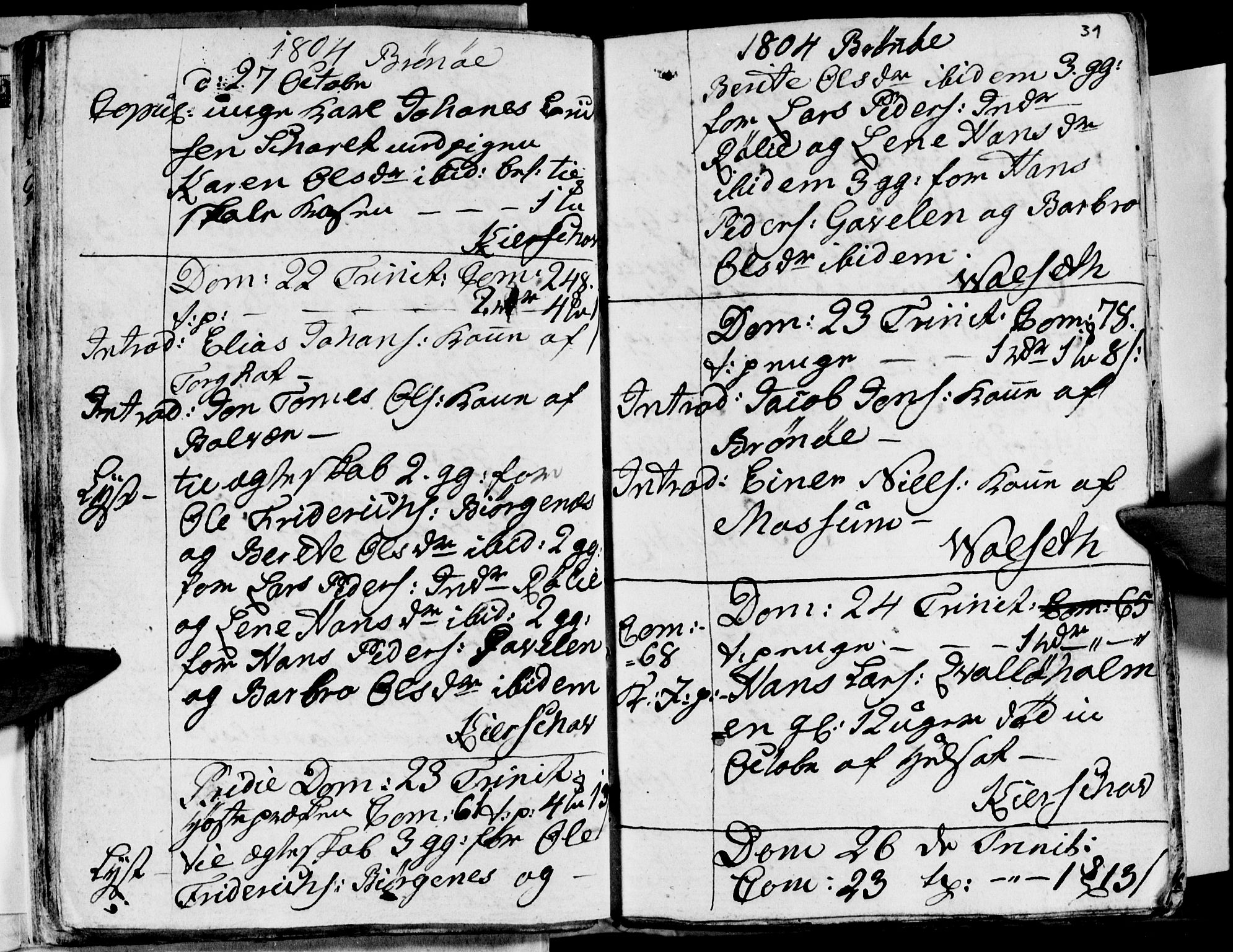 Ministerialprotokoller, klokkerbøker og fødselsregistre - Nordland, AV/SAT-A-1459/813/L0209: Parish register (copy) no. 813C01, 1803-1821, p. 31