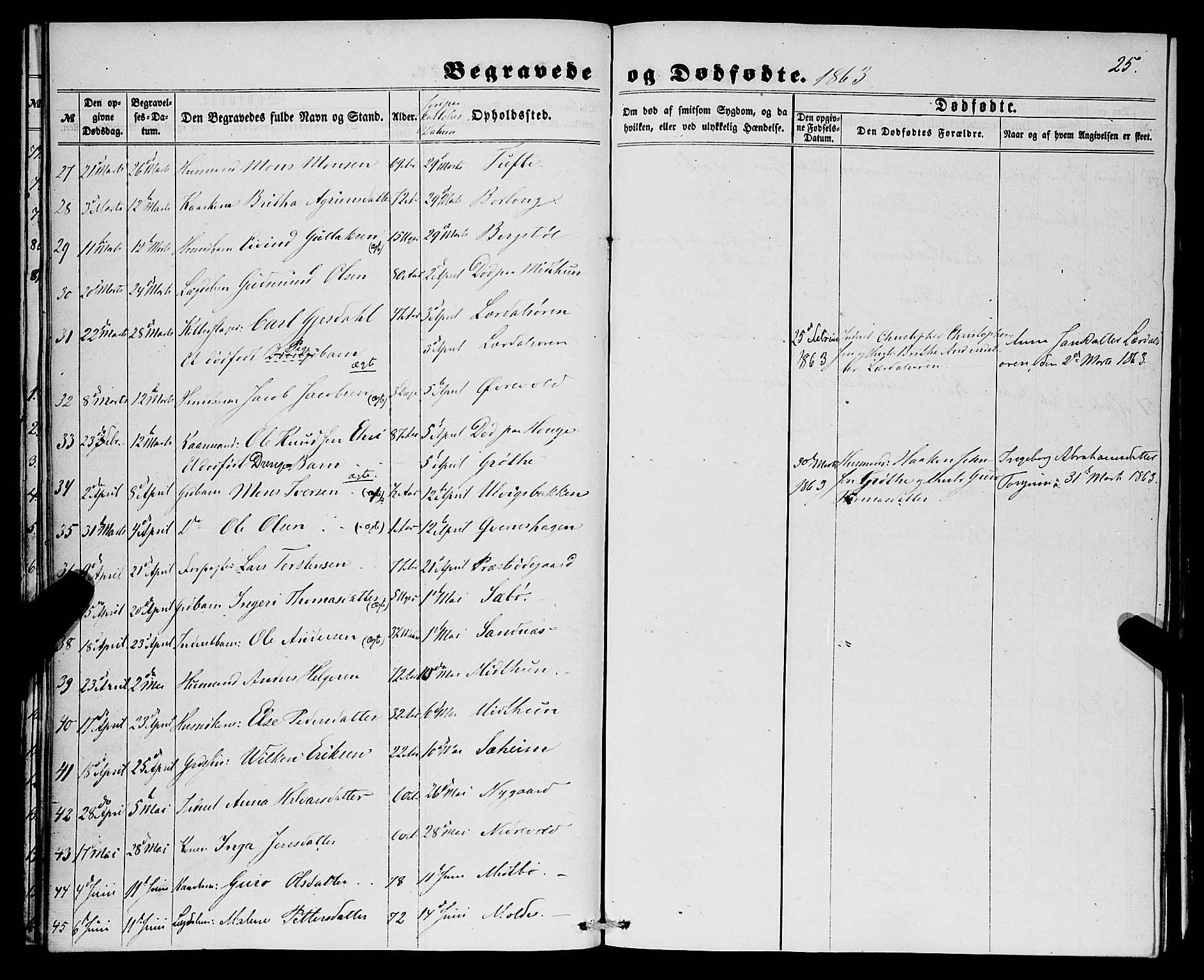 Lærdal sokneprestembete, SAB/A-81201: Parish register (official) no. A 16, 1857-1877, p. 25