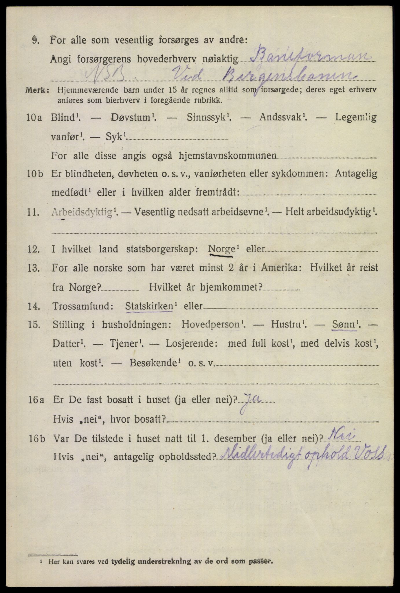 SAKO, 1920 census for Hol (Buskerud), 1920, p. 5308