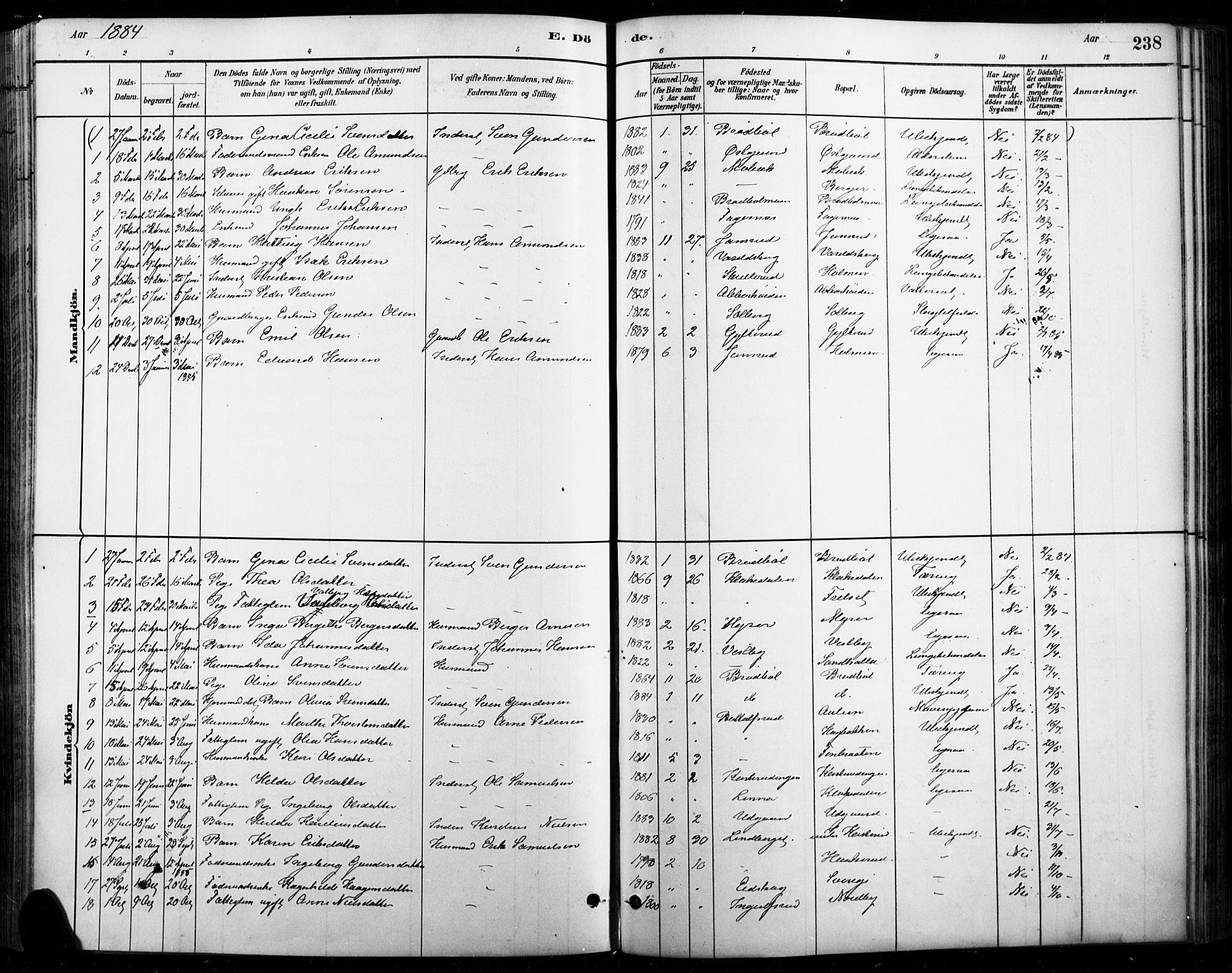 Vinger prestekontor, AV/SAH-PREST-024/H/Ha/Haa/L0015: Parish register (official) no. 15, 1881-1900, p. 238