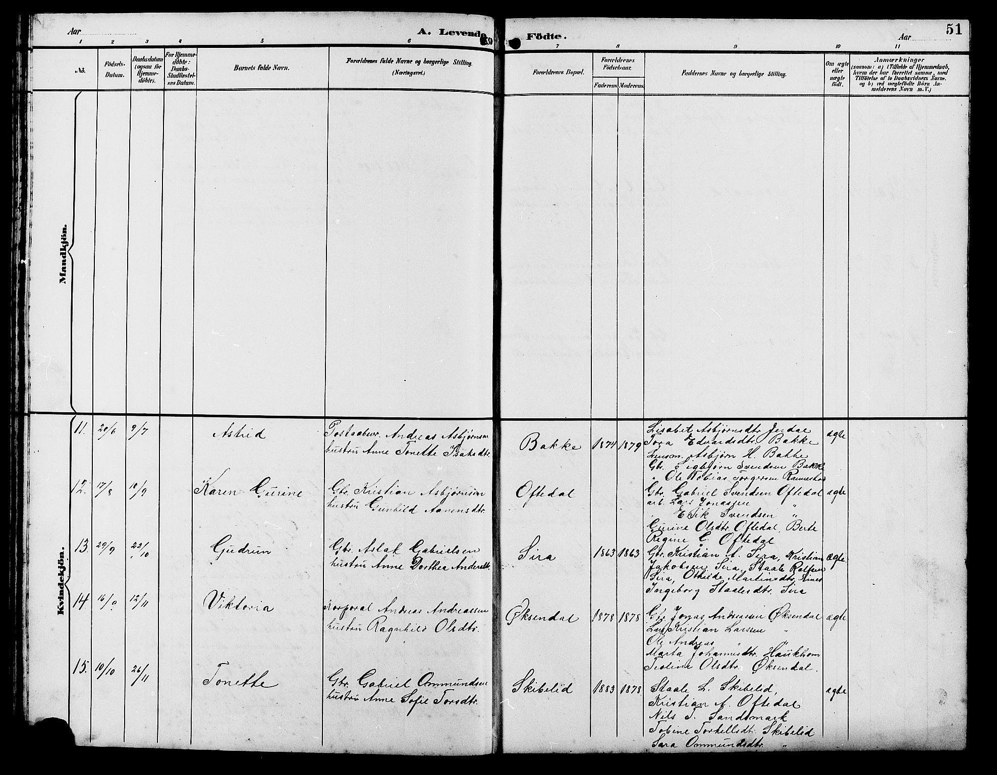 Bakke sokneprestkontor, SAK/1111-0002/F/Fb/Fba/L0003: Parish register (copy) no. B 3, 1894-1910, p. 51