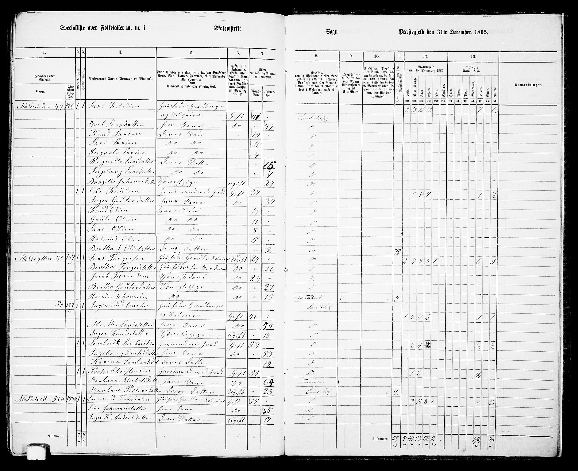 RA, 1865 census for Sand, 1865, p. 161