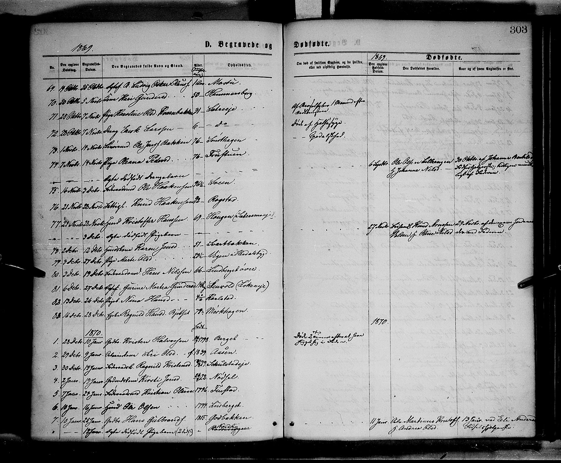 Elverum prestekontor, SAH/PREST-044/H/Ha/Haa/L0011: Parish register (official) no. 11, 1869-1879, p. 303