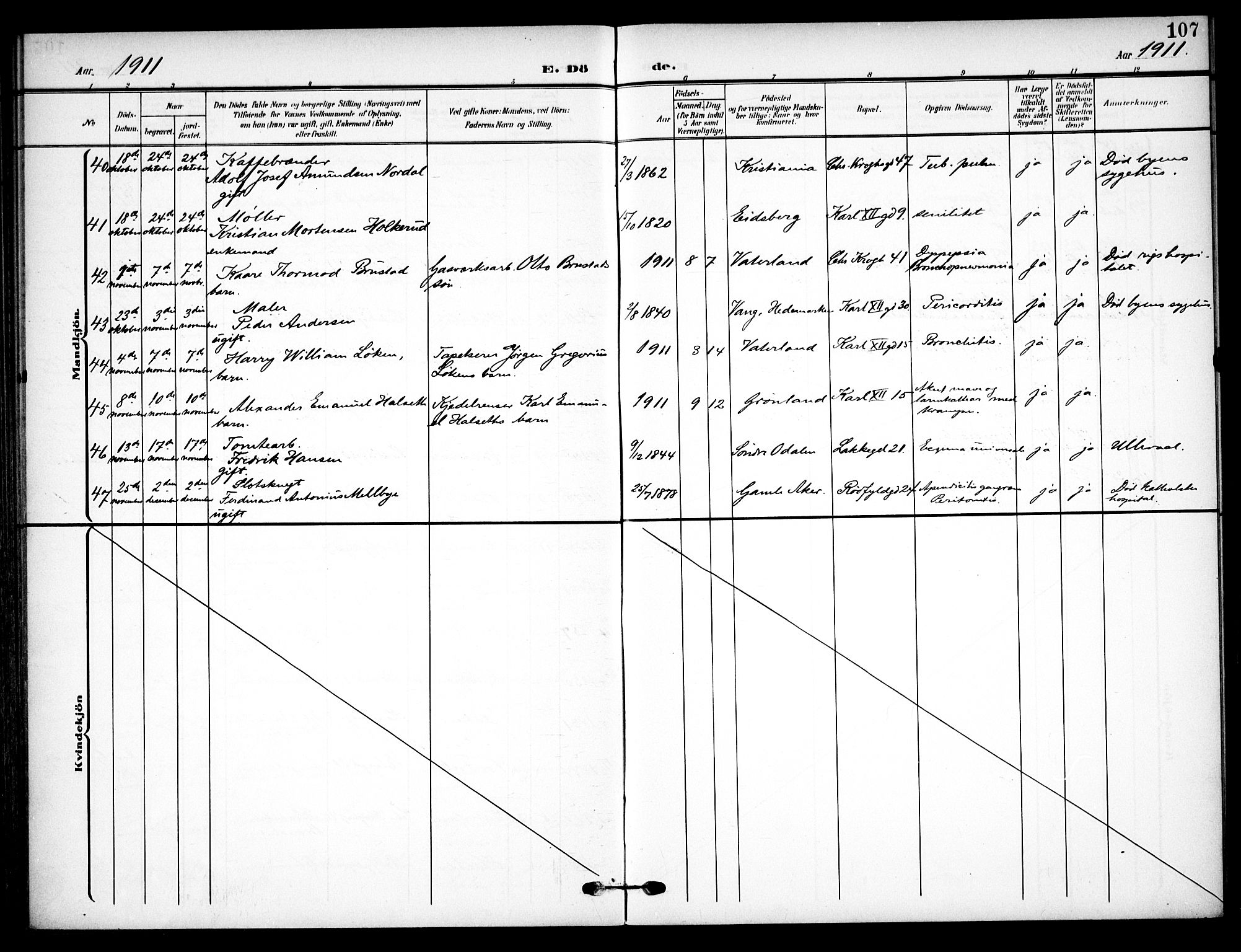 Vaterland prestekontor Kirkebøker, AV/SAO-A-10880/F/Fa/L0002: Parish register (official) no. 2, 1907-1921, p. 107