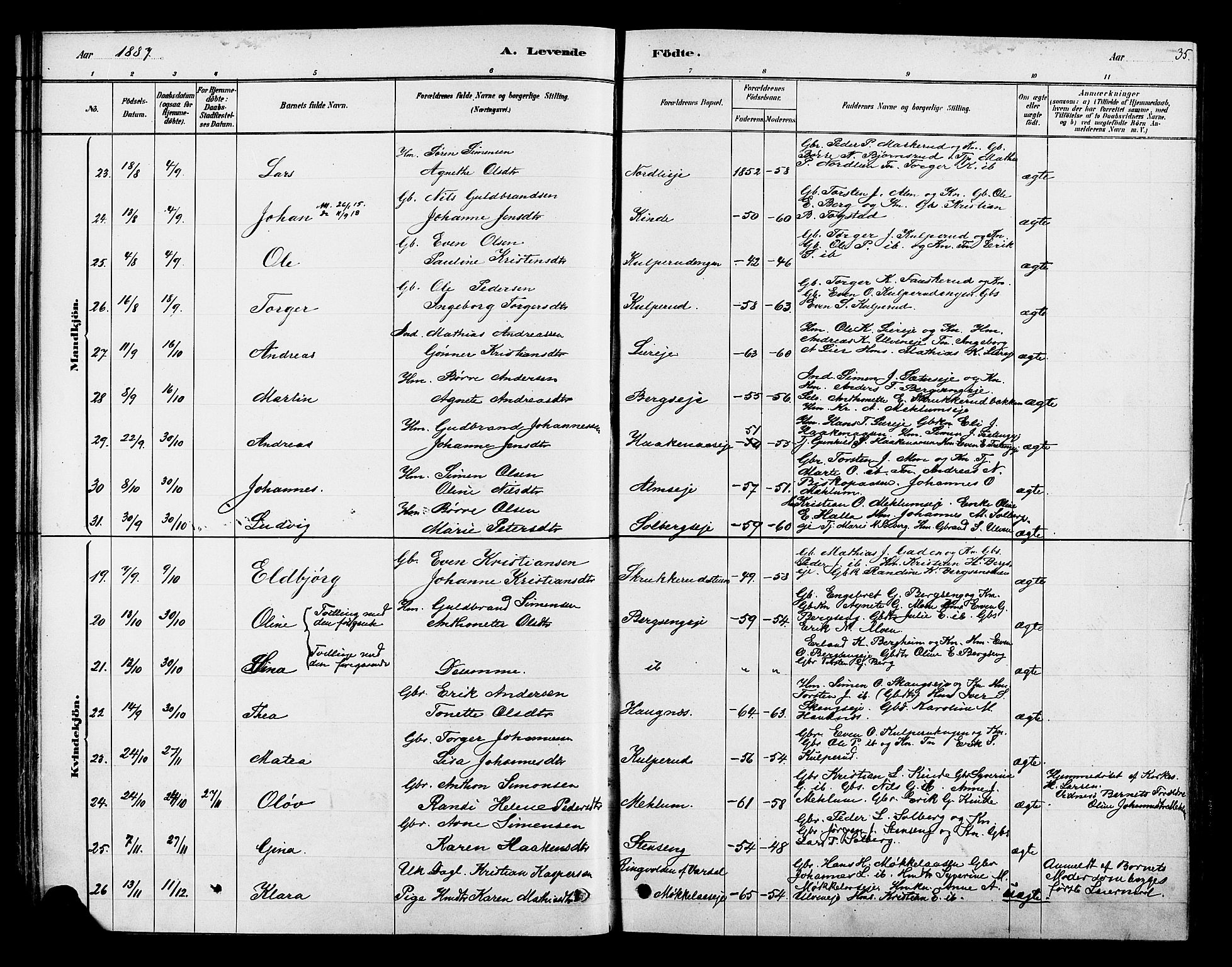 Ringsaker prestekontor, AV/SAH-PREST-014/K/Ka/L0013: Parish register (official) no. 13, 1879-1890, p. 35