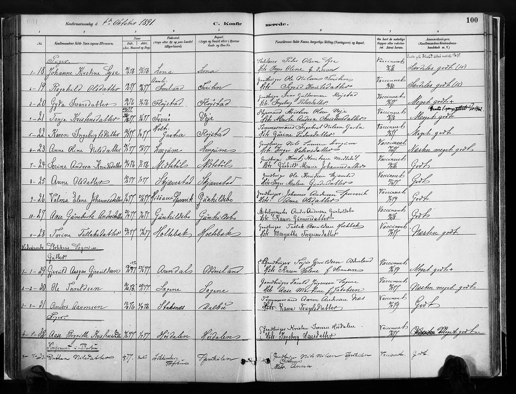 Austre Moland sokneprestkontor, AV/SAK-1111-0001/F/Fa/Faa/L0010: Parish register (official) no. A 10, 1880-1904, p. 100