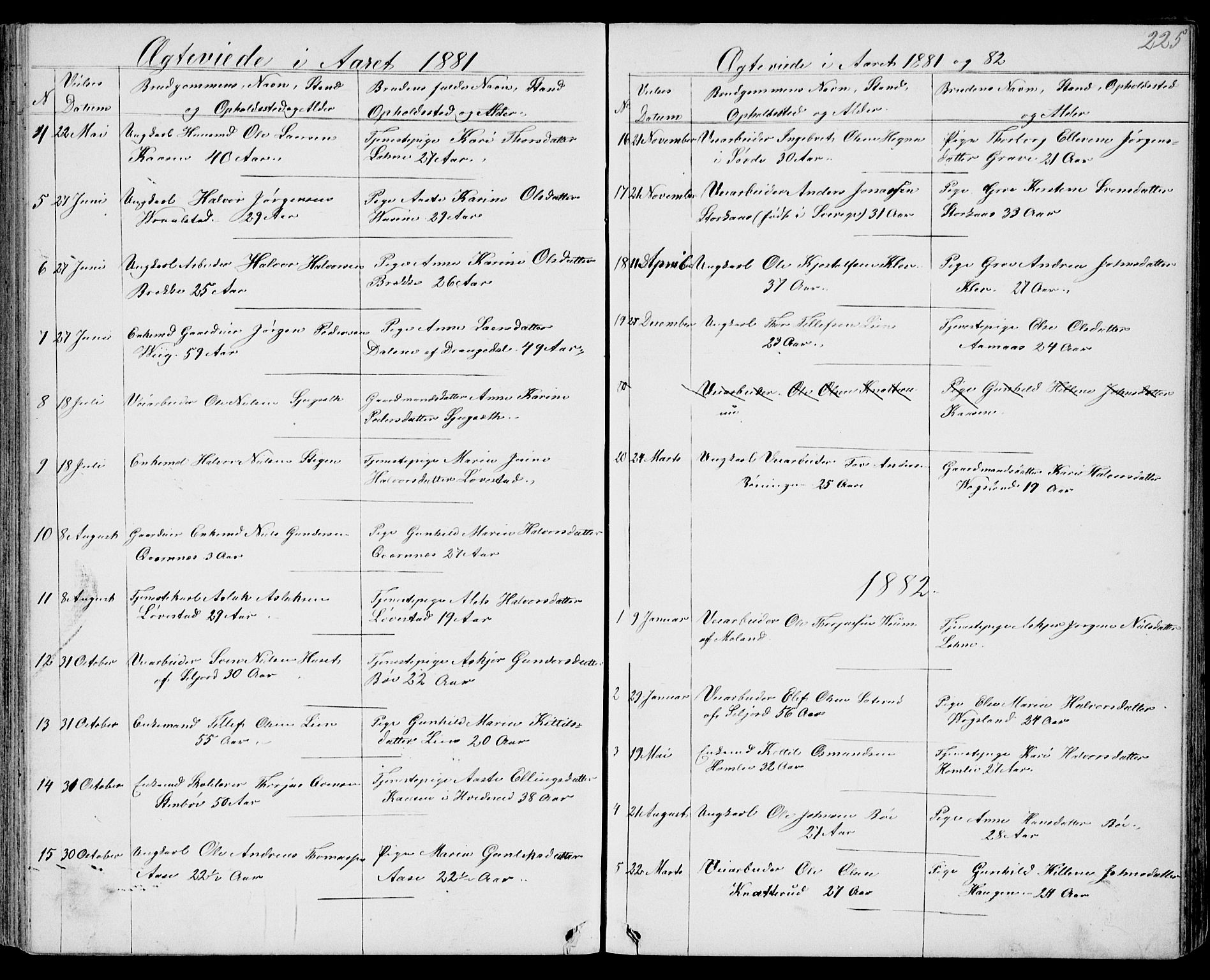 Drangedal kirkebøker, SAKO/A-258/G/Gb/L0001: Parish register (copy) no. II 1, 1856-1894, p. 225