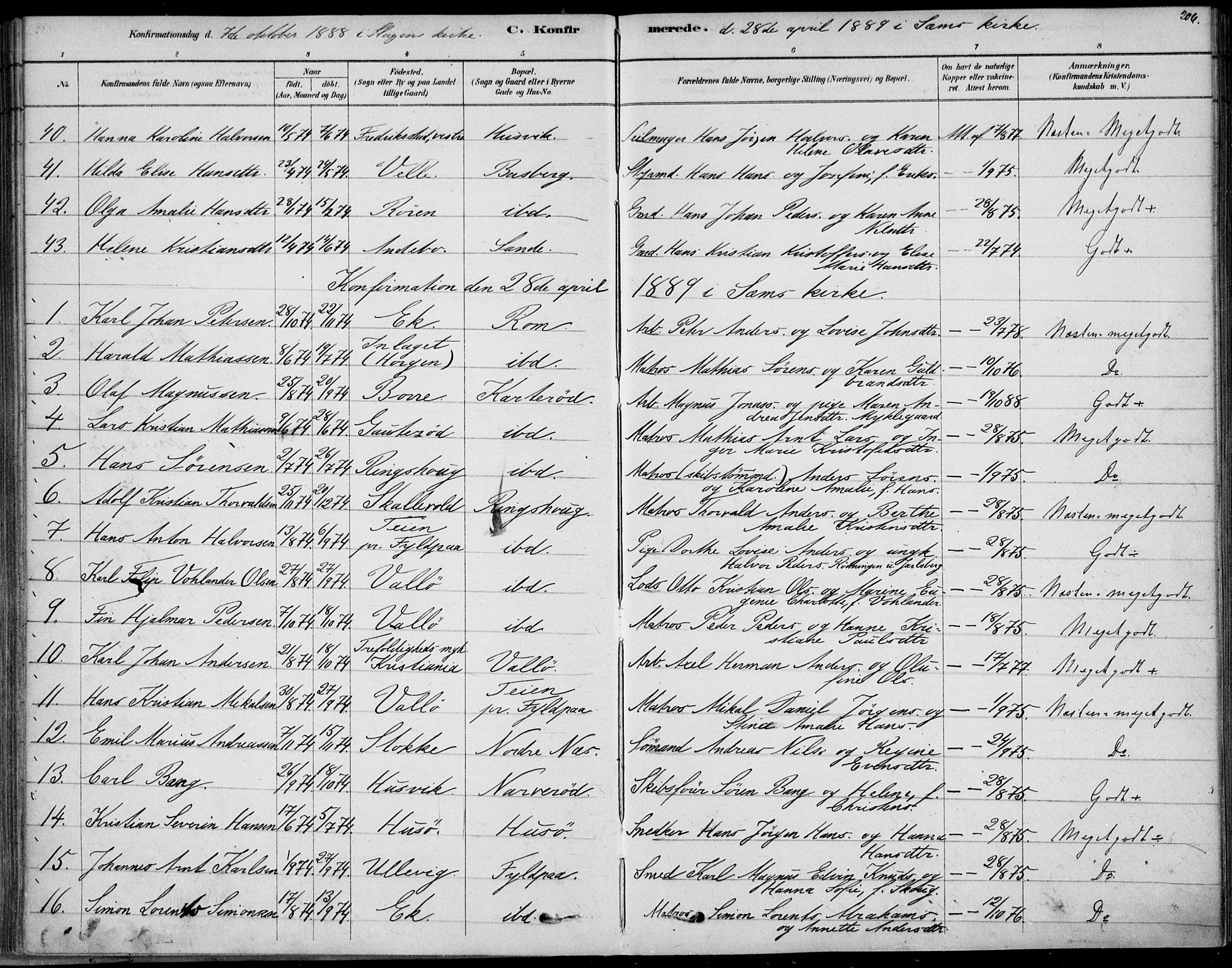 Sem kirkebøker, SAKO/A-5/F/Fb/L0004: Parish register (official) no. II 4, 1878-1891, p. 206