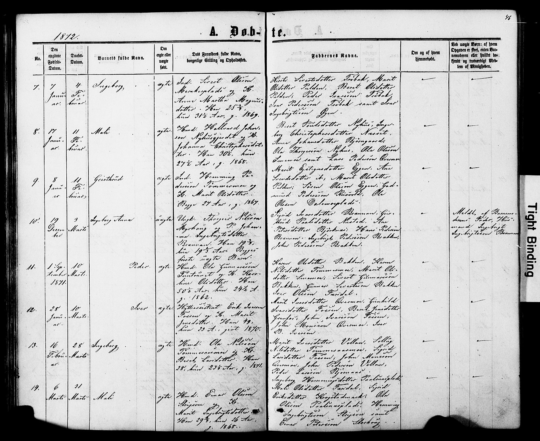 Ministerialprotokoller, klokkerbøker og fødselsregistre - Nord-Trøndelag, AV/SAT-A-1458/706/L0049: Parish register (copy) no. 706C01, 1864-1895, p. 46