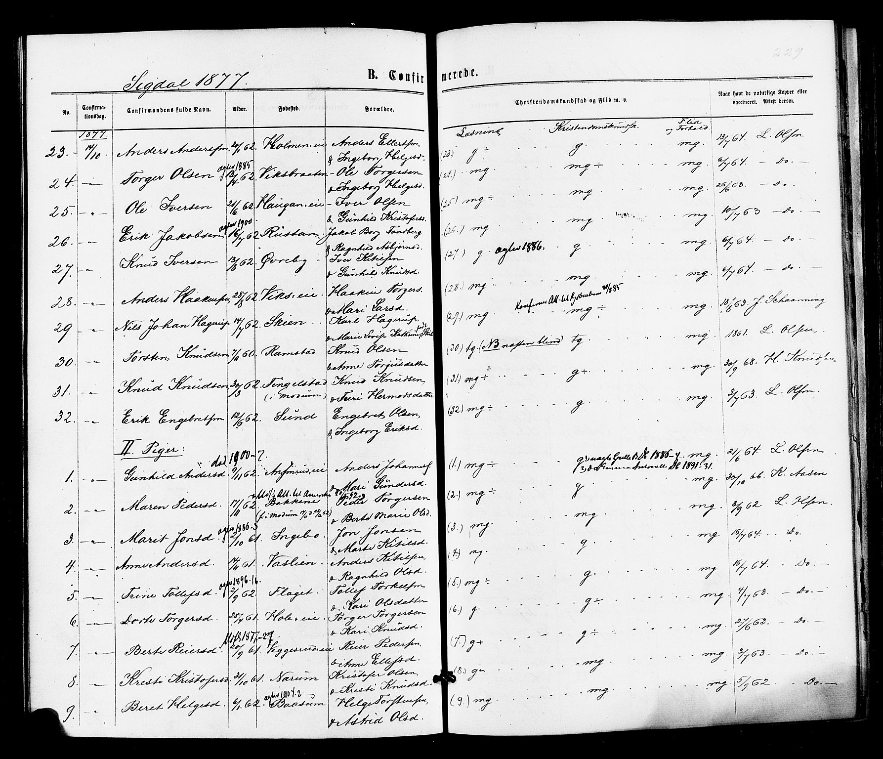 Sigdal kirkebøker, SAKO/A-245/F/Fa/L0010: Parish register (official) no. I 10 /1, 1872-1878, p. 229