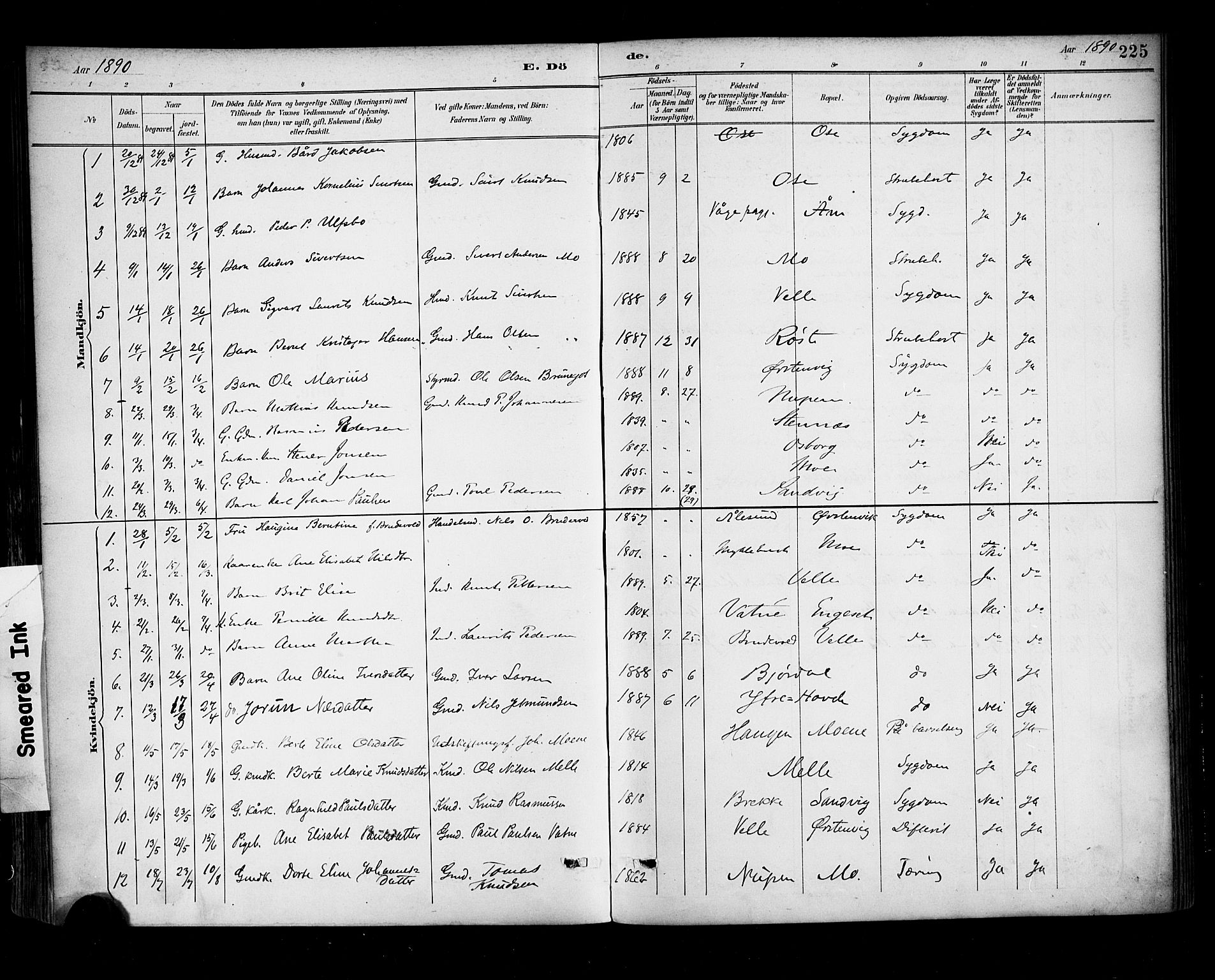 Ministerialprotokoller, klokkerbøker og fødselsregistre - Møre og Romsdal, AV/SAT-A-1454/513/L0177: Parish register (official) no. 513A04, 1890-1906, p. 225