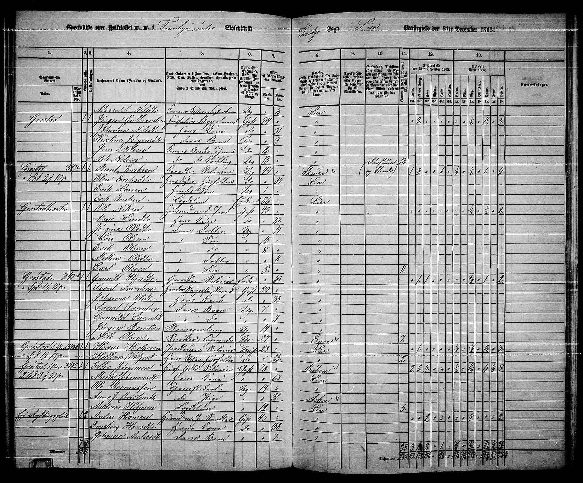 RA, 1865 census for Lier, 1865, p. 192