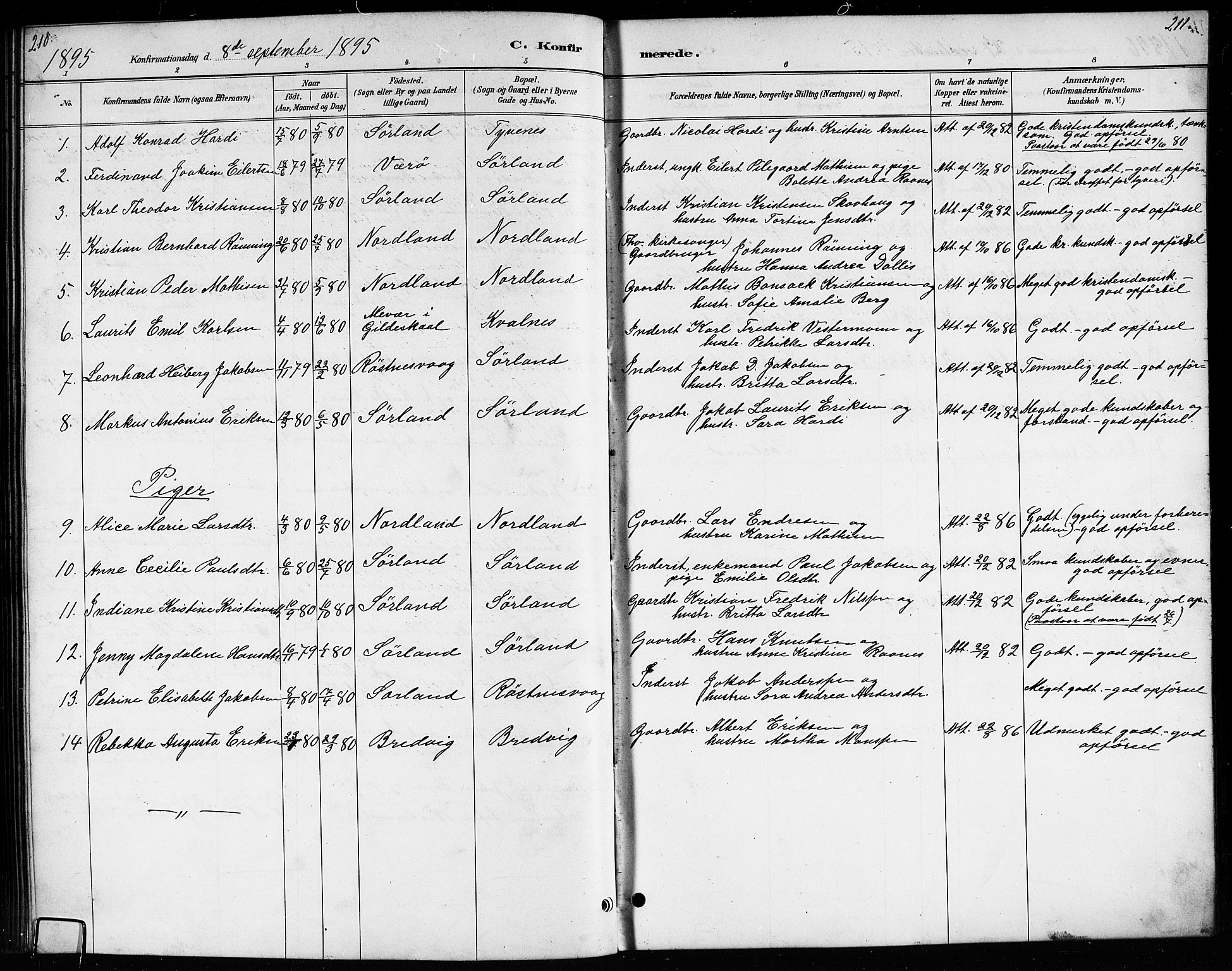 Ministerialprotokoller, klokkerbøker og fødselsregistre - Nordland, AV/SAT-A-1459/807/L0123: Parish register (copy) no. 807C01, 1884-1910, p. 210-211