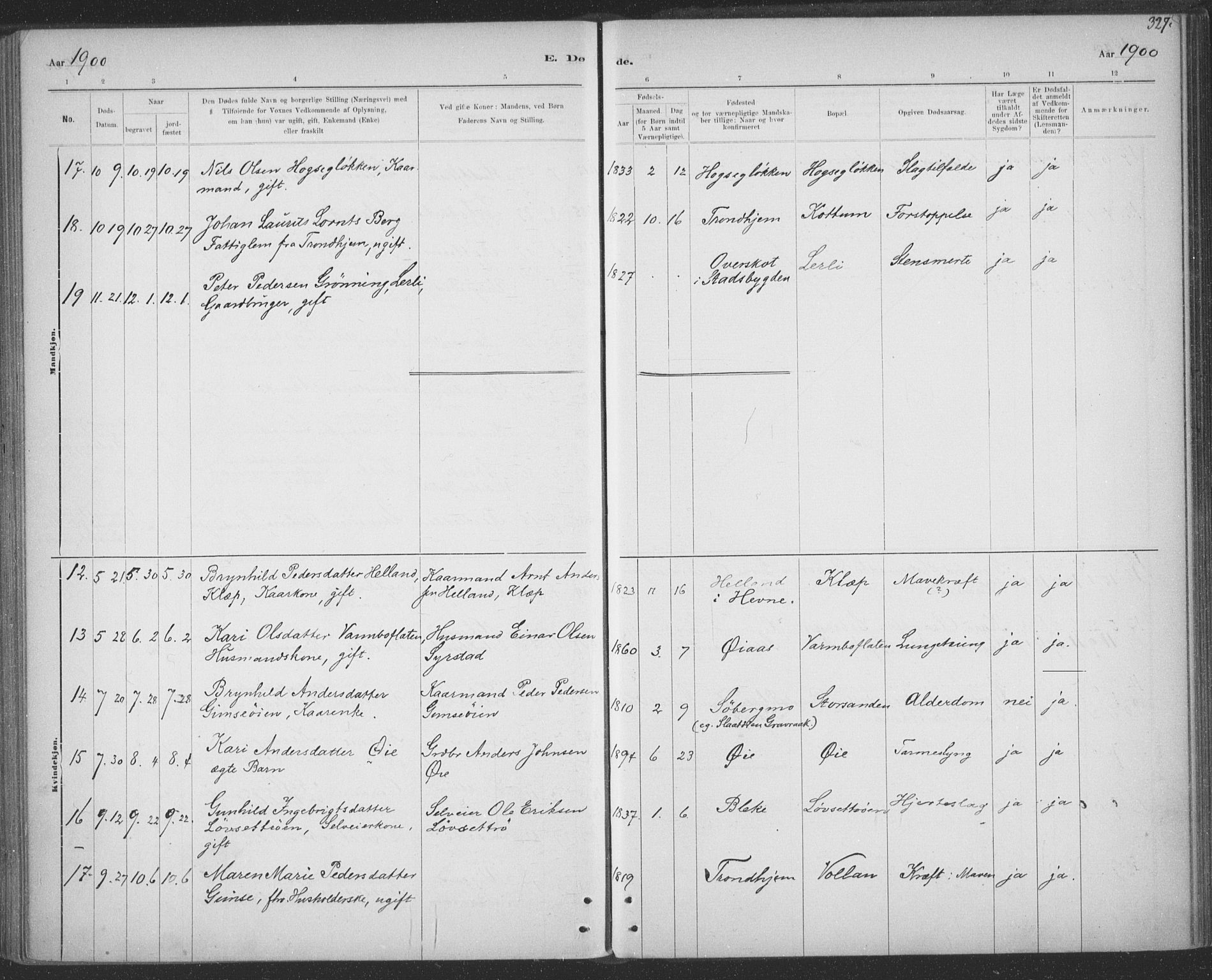 Ministerialprotokoller, klokkerbøker og fødselsregistre - Sør-Trøndelag, AV/SAT-A-1456/691/L1085: Parish register (official) no. 691A17, 1887-1908, p. 327