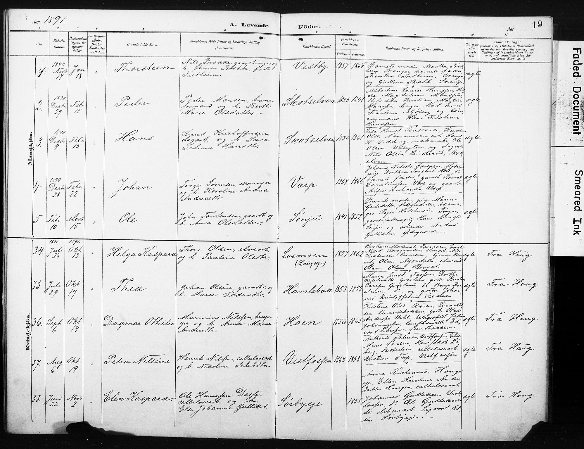 Eiker kirkebøker, AV/SAKO-A-4/F/Fc/L0002: Parish register (official) no. III 2, 1889-1897, p. 19