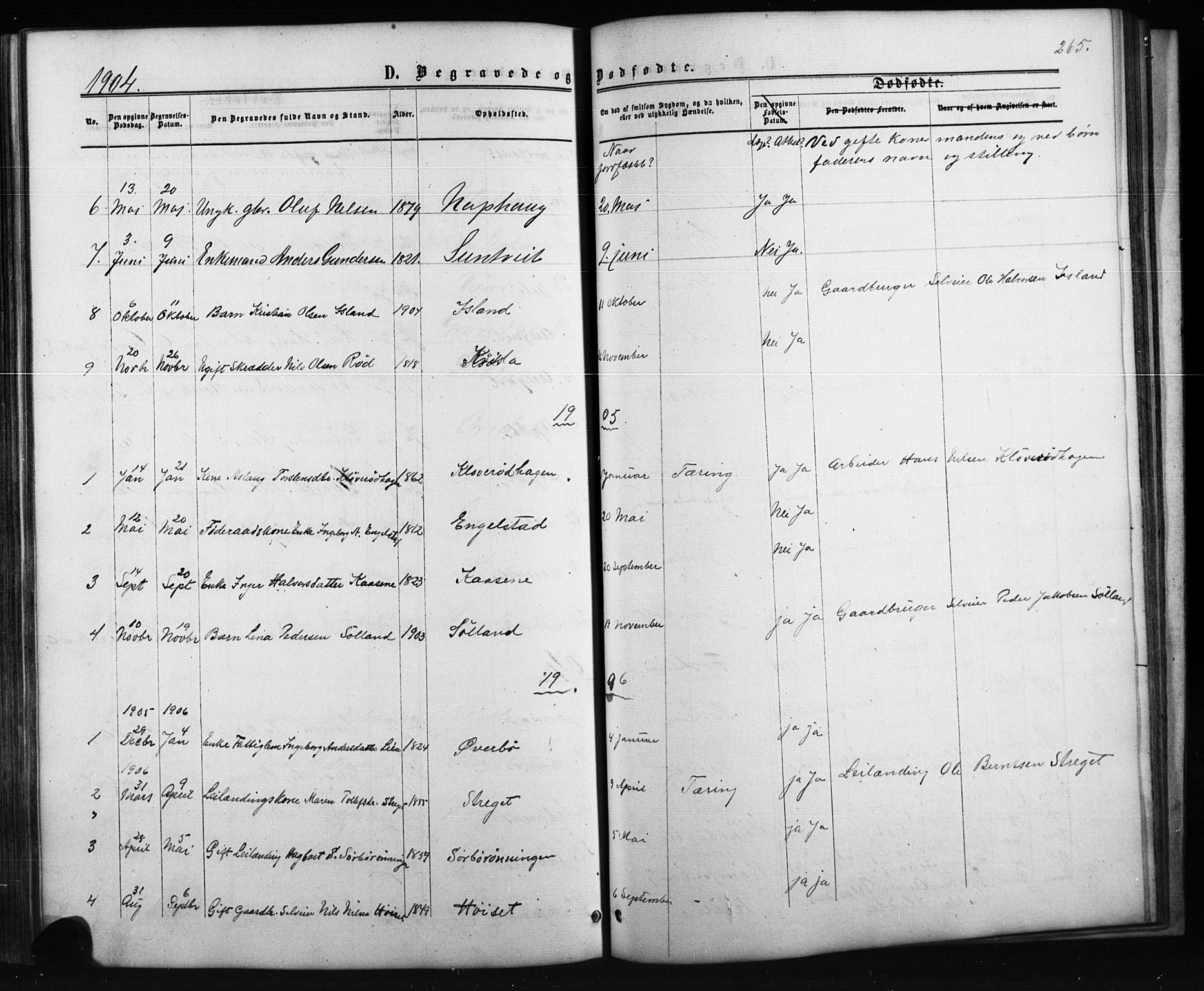 Siljan kirkebøker, SAKO/A-300/G/Ga/L0002: Parish register (copy) no. 2, 1864-1908, p. 265