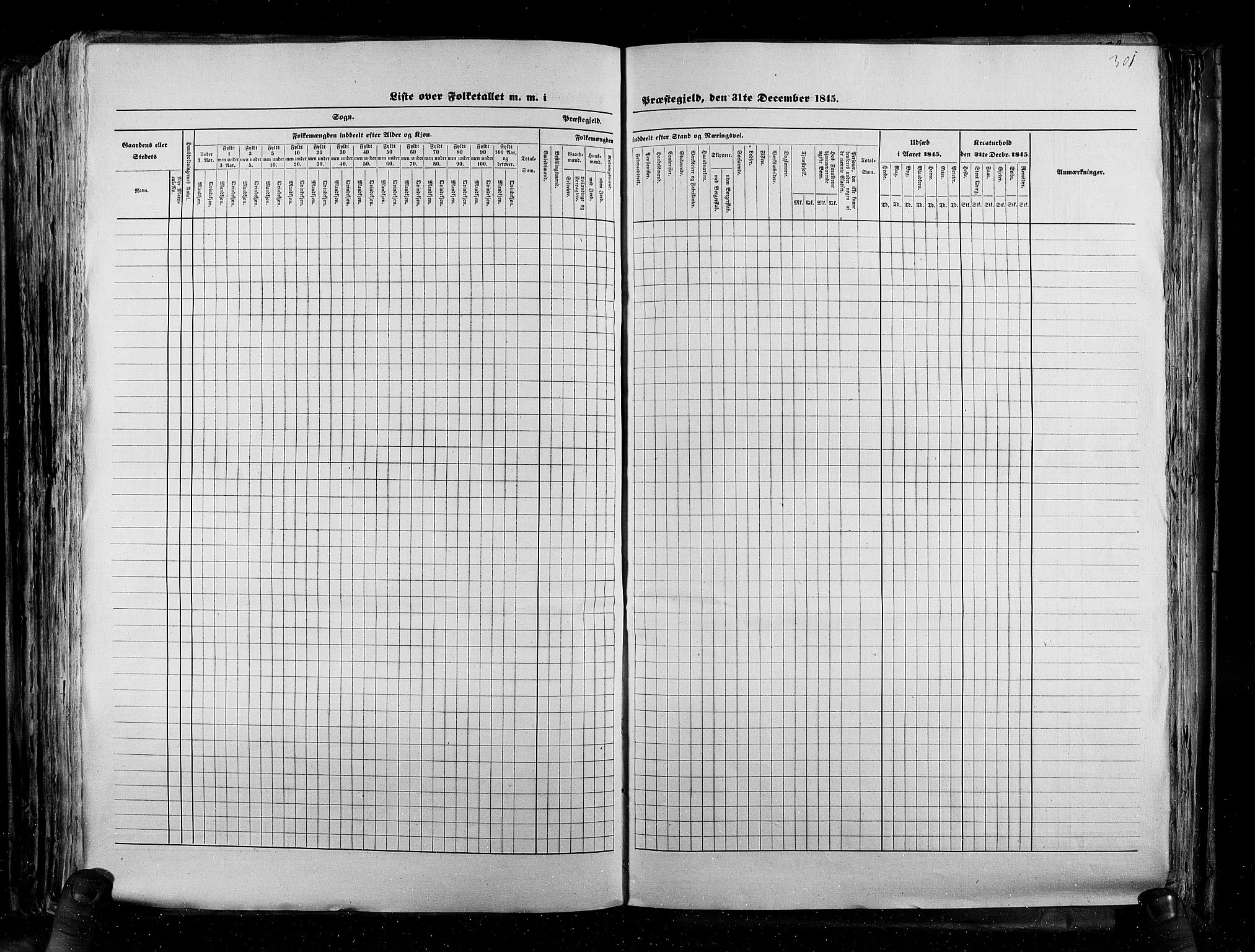 RA, Census 1845, vol. 5: Bratsberg amt og Nedenes og Råbyggelaget amt, 1845, p. 301