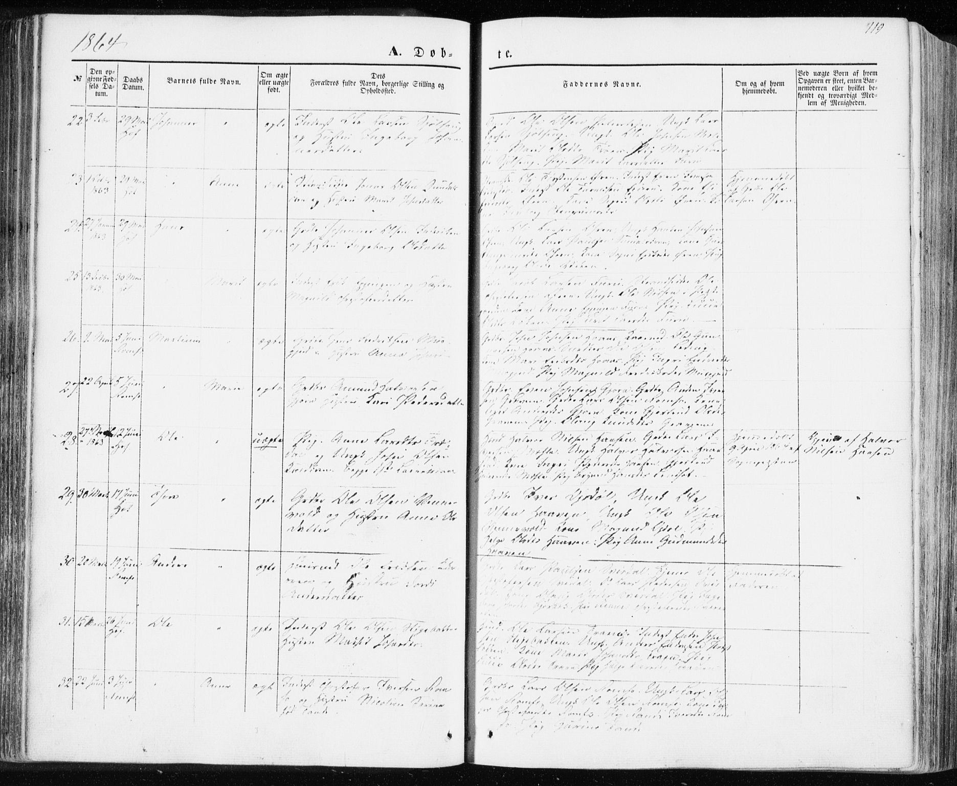 Ministerialprotokoller, klokkerbøker og fødselsregistre - Møre og Romsdal, SAT/A-1454/590/L1013: Parish register (official) no. 590A05, 1847-1877, p. 119