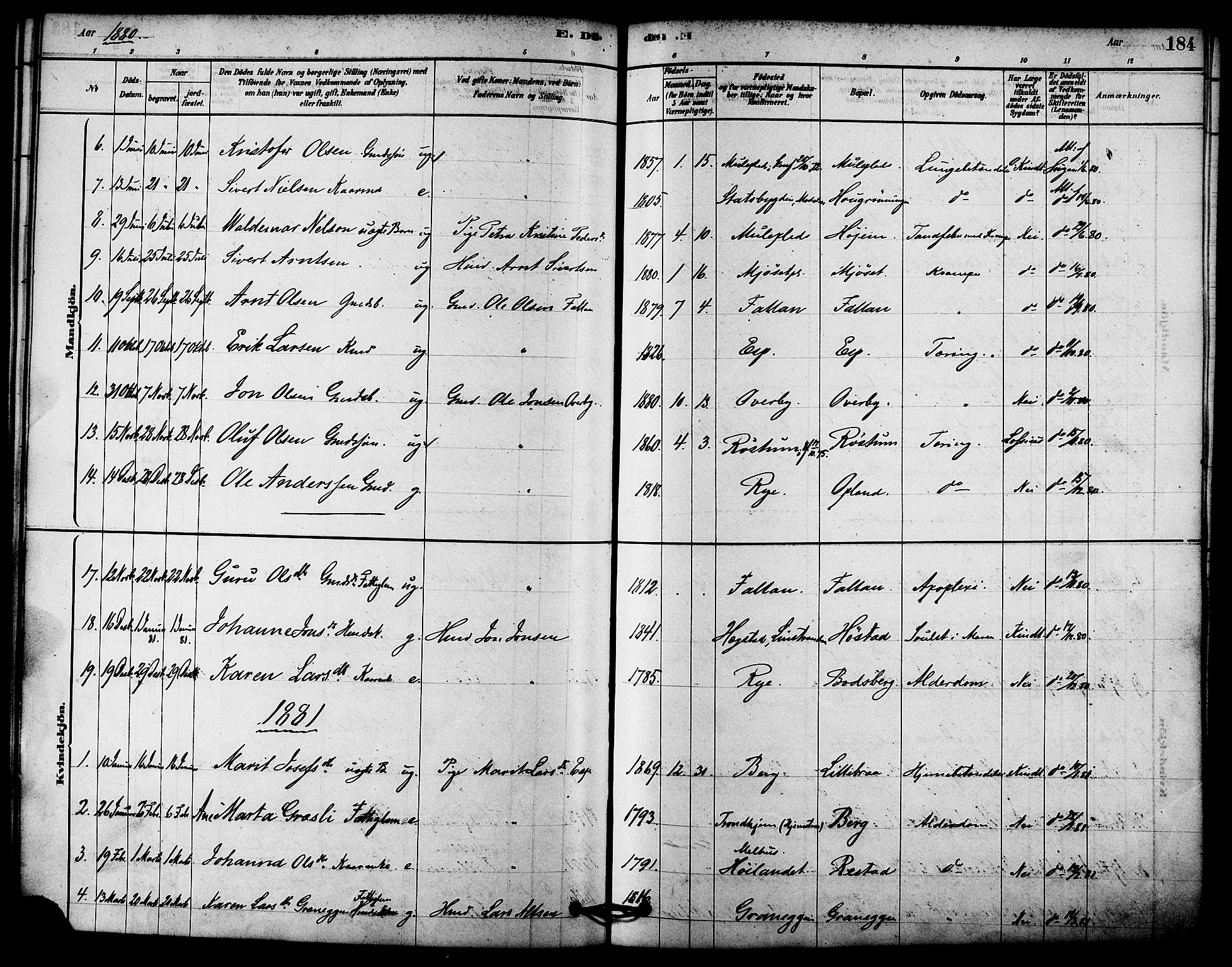 Ministerialprotokoller, klokkerbøker og fødselsregistre - Sør-Trøndelag, AV/SAT-A-1456/612/L0378: Parish register (official) no. 612A10, 1878-1897, p. 184
