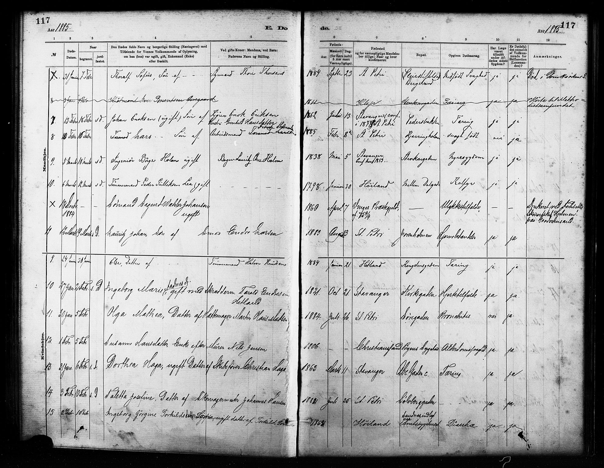 St. Petri sokneprestkontor, AV/SAST-A-101813/001/30/30BA/L0017: Parish register (official) no. A 17, 1879-1895, p. 117