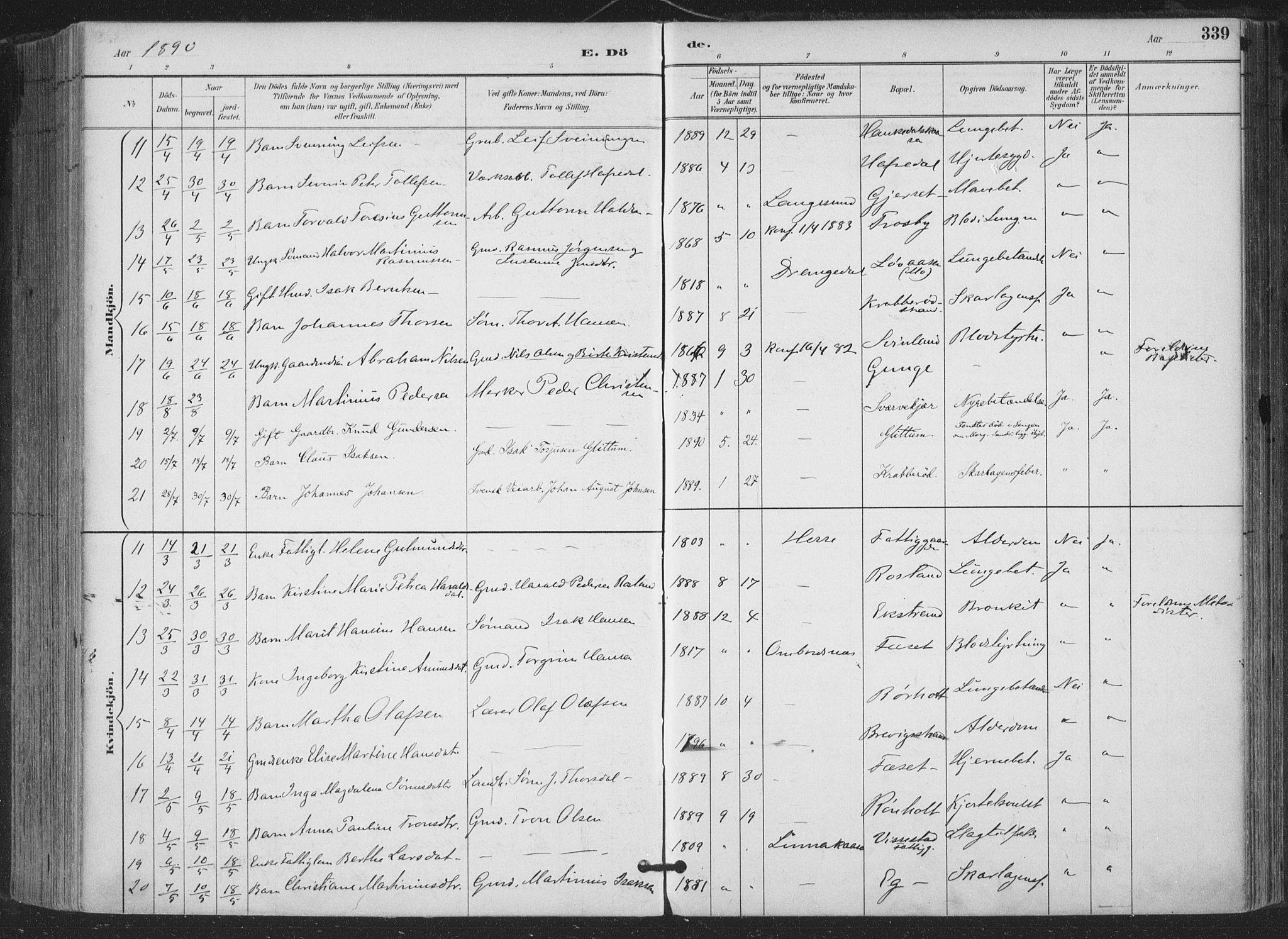 Bamble kirkebøker, SAKO/A-253/F/Fa/L0008: Parish register (official) no. I 8, 1888-1900, p. 339