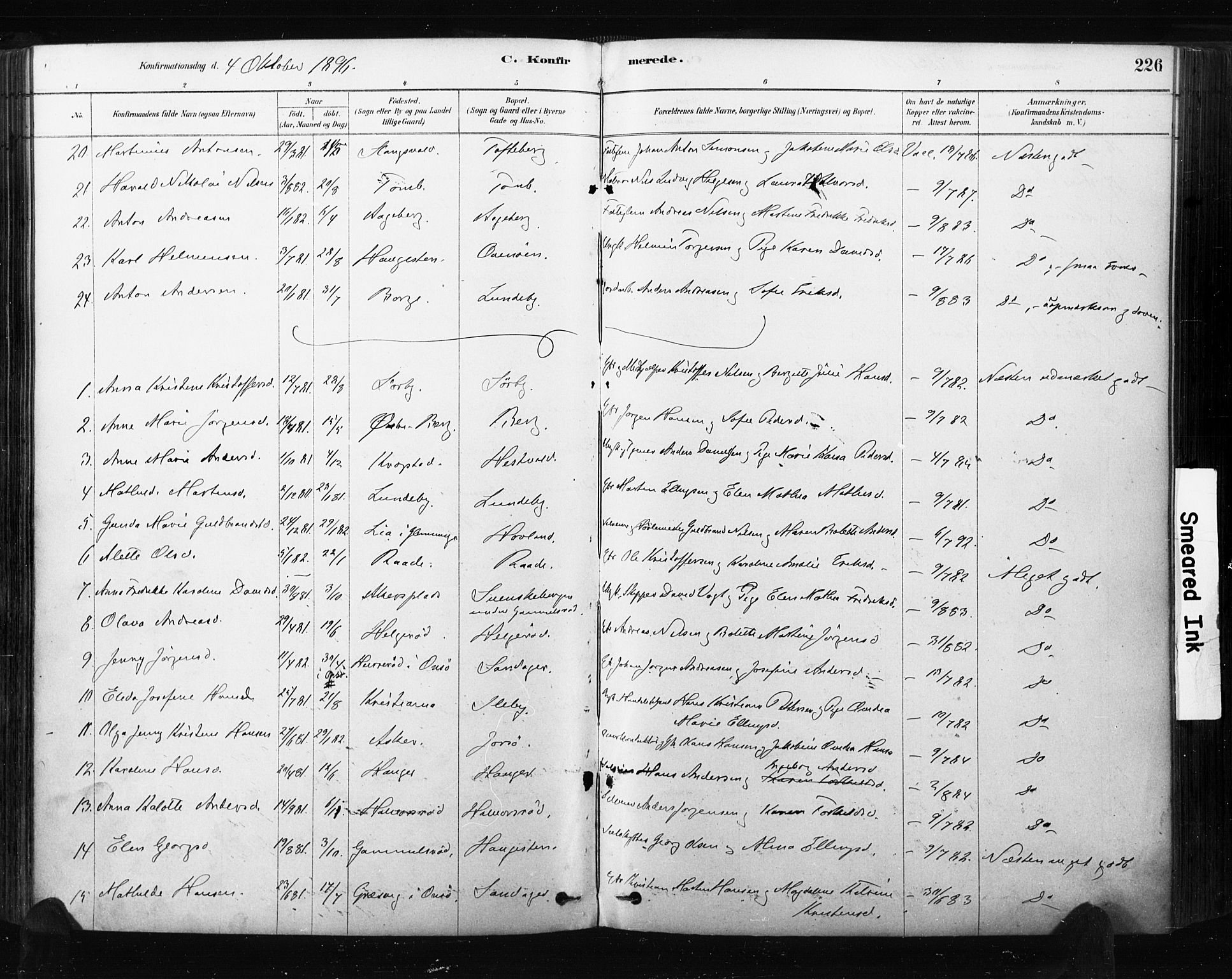 Råde prestekontor kirkebøker, AV/SAO-A-2009/F/Fa/L0007: Parish register (official) no. 7, 1878-1902, p. 226