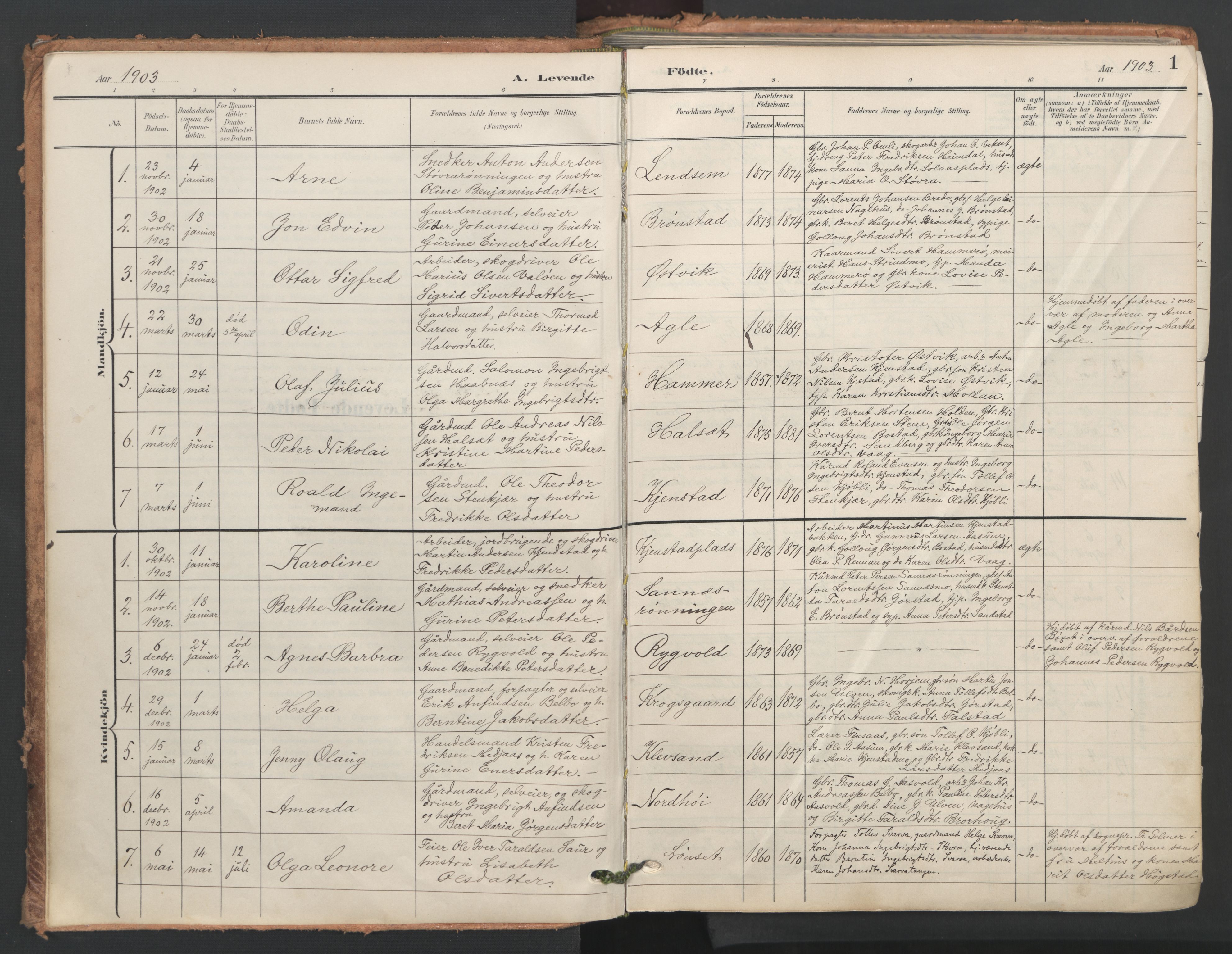Ministerialprotokoller, klokkerbøker og fødselsregistre - Nord-Trøndelag, SAT/A-1458/749/L0477: Parish register (official) no. 749A11, 1902-1927, p. 1
