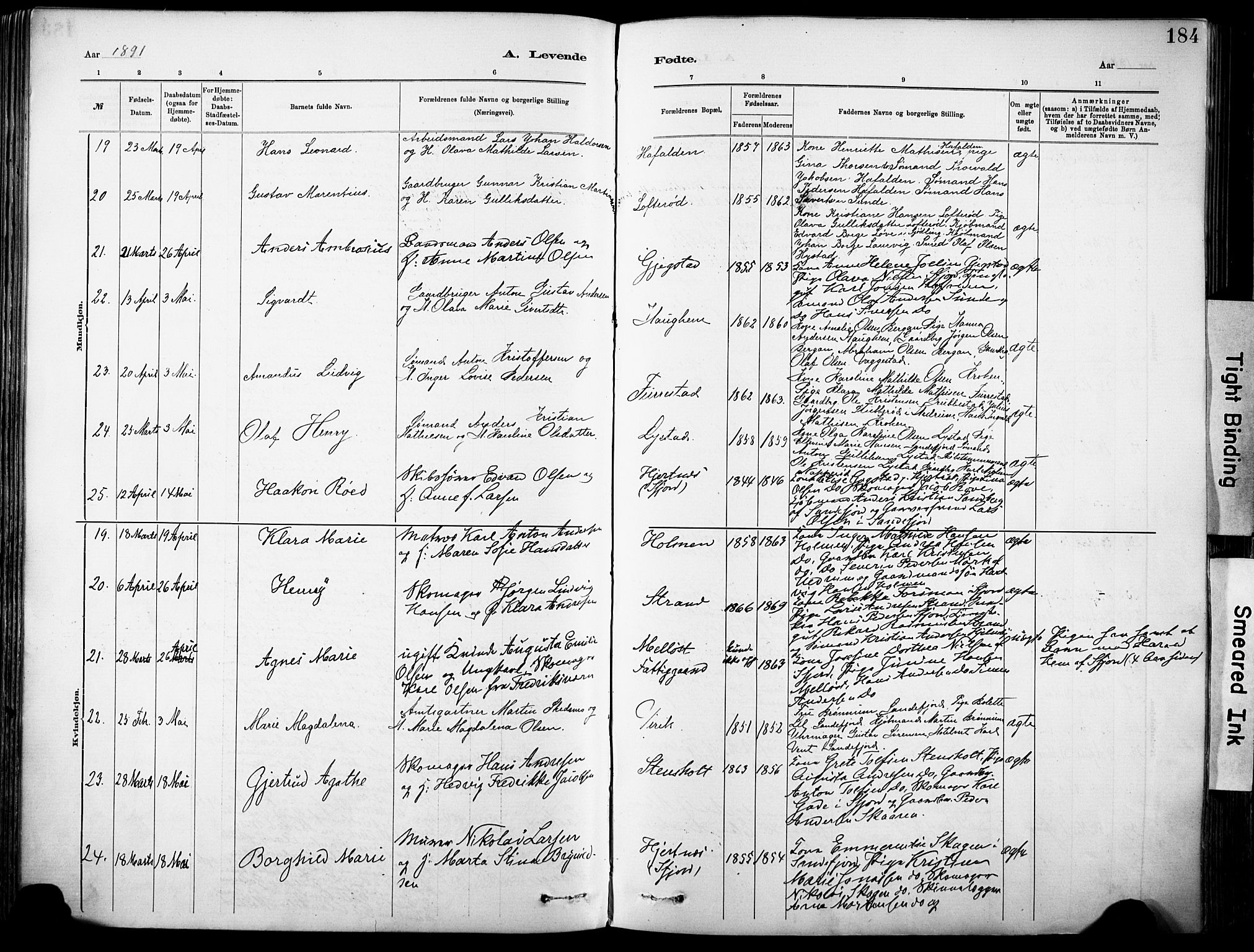 Sandar kirkebøker, AV/SAKO-A-243/F/Fa/L0012: Parish register (official) no. 12, 1883-1895, p. 184