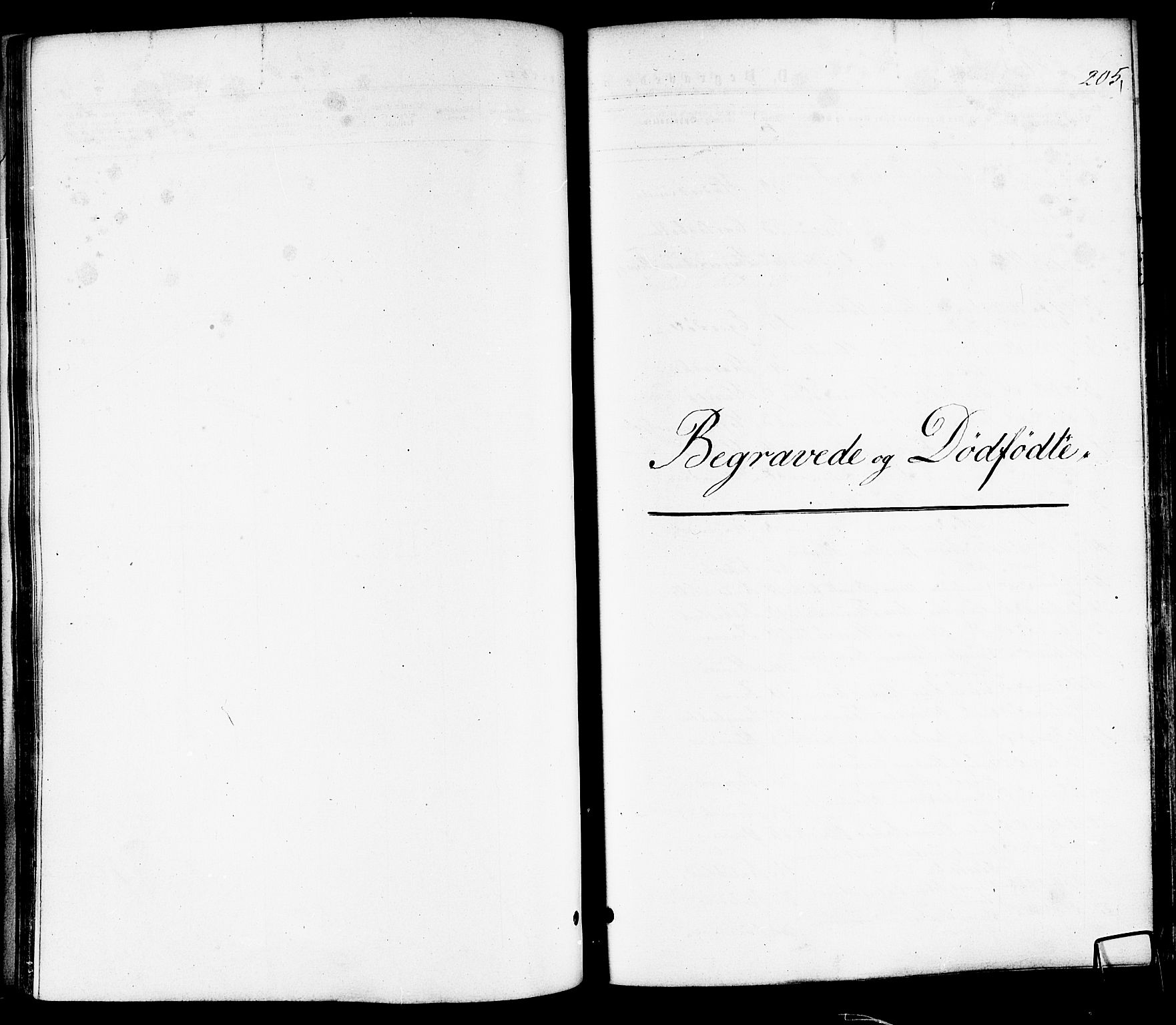Ministerialprotokoller, klokkerbøker og fødselsregistre - Nordland, SAT/A-1459/859/L0845: Parish register (official) no. 859A05, 1863-1877, p. 205