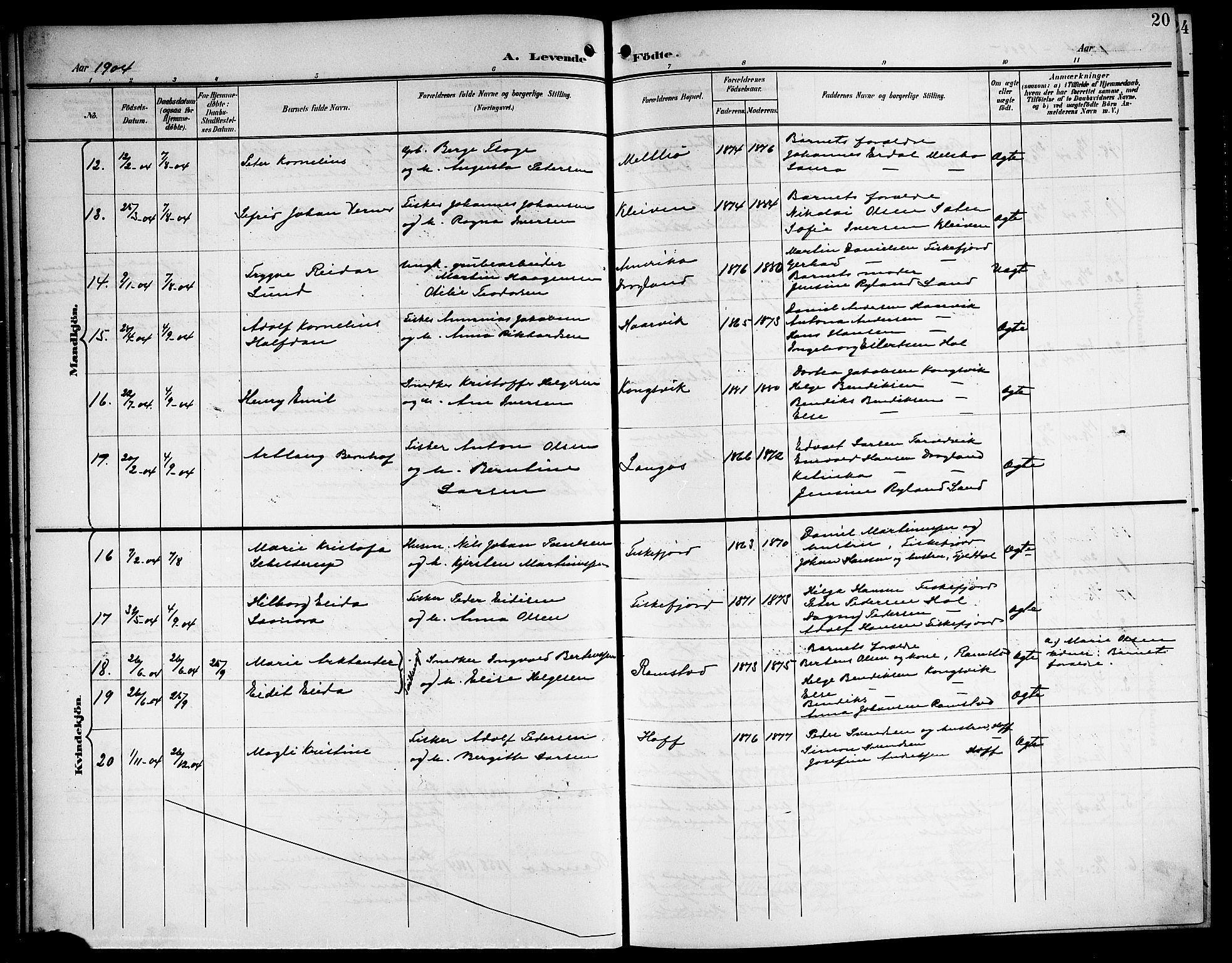 Ministerialprotokoller, klokkerbøker og fødselsregistre - Nordland, AV/SAT-A-1459/865/L0932: Parish register (copy) no. 865C04, 1901-1917, p. 20