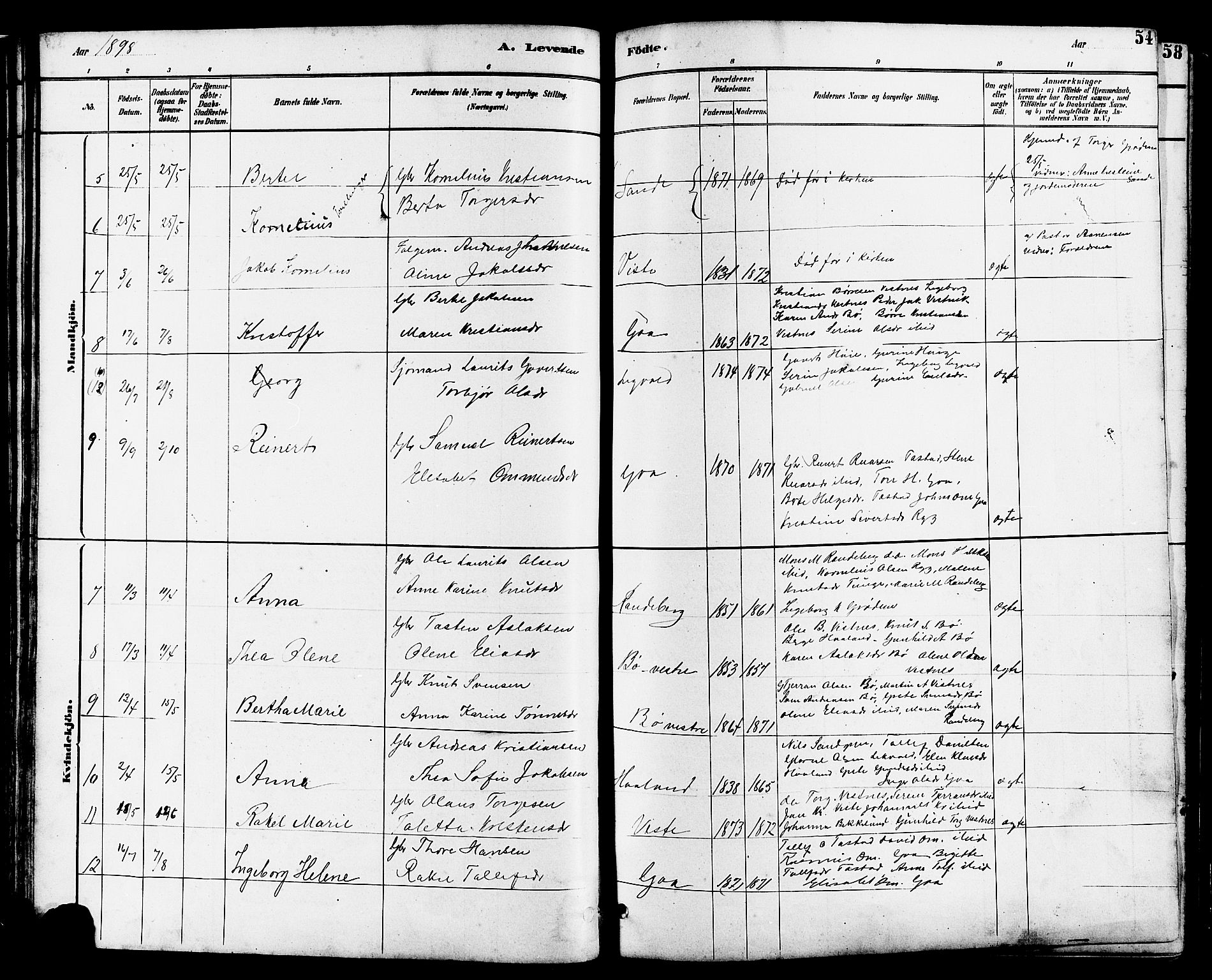 Hetland sokneprestkontor, AV/SAST-A-101826/30/30BB/L0006: Parish register (copy) no. B 6, 1878-1921, p. 54