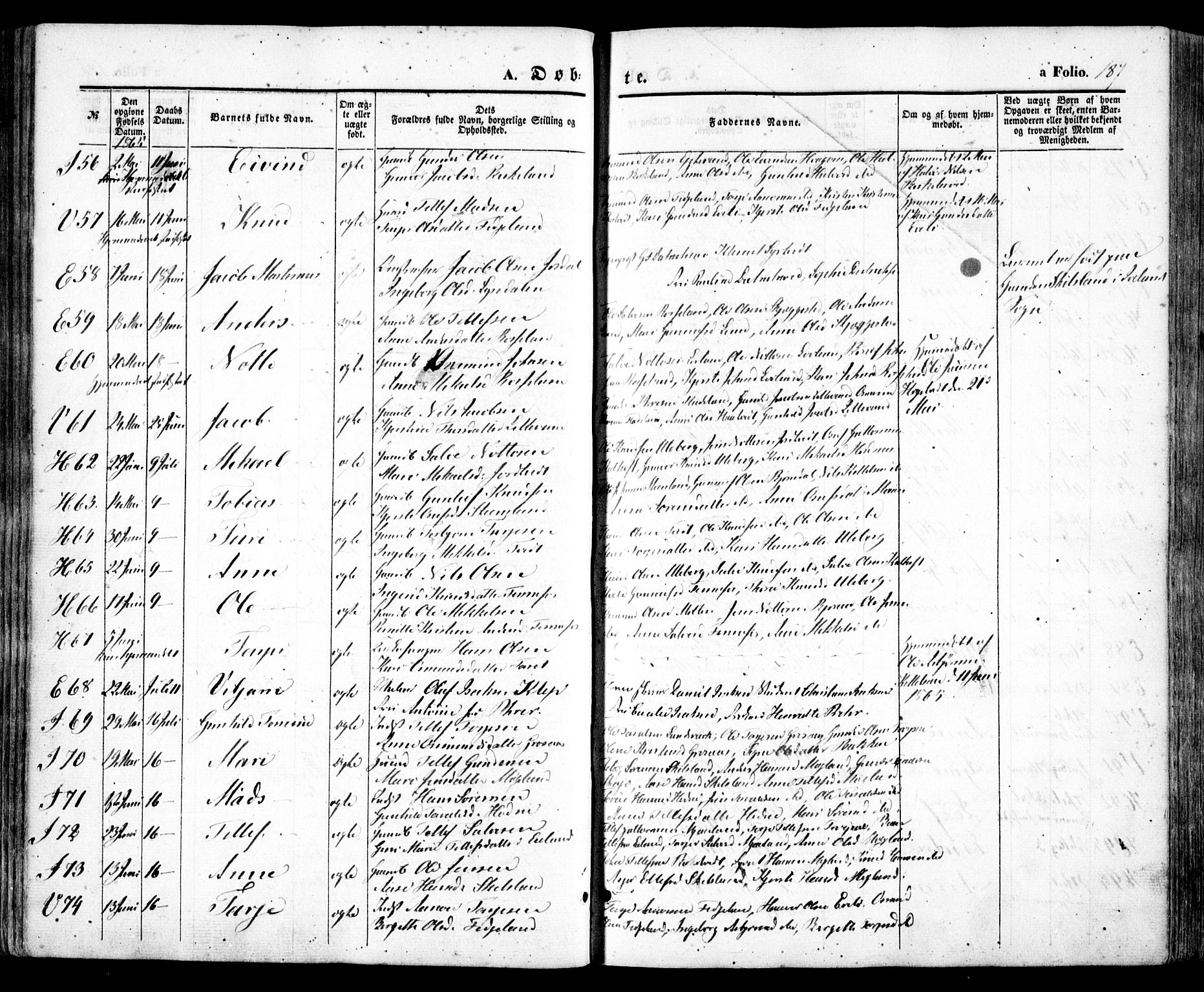 Evje sokneprestkontor, SAK/1111-0008/F/Fa/Faa/L0005: Parish register (official) no. A 5, 1843-1865, p. 187
