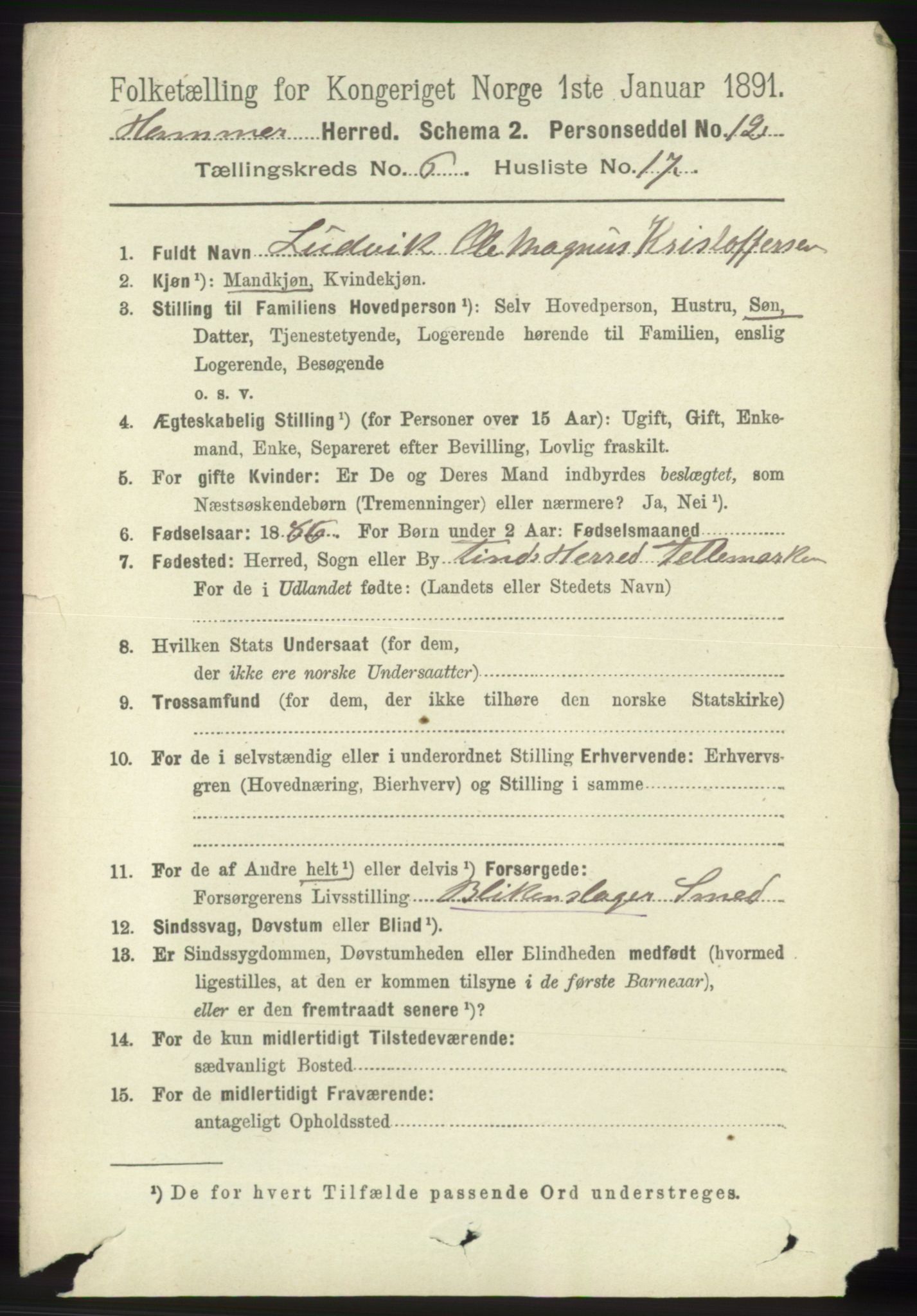 RA, 1891 census for 1254 Hamre, 1891, p. 1650