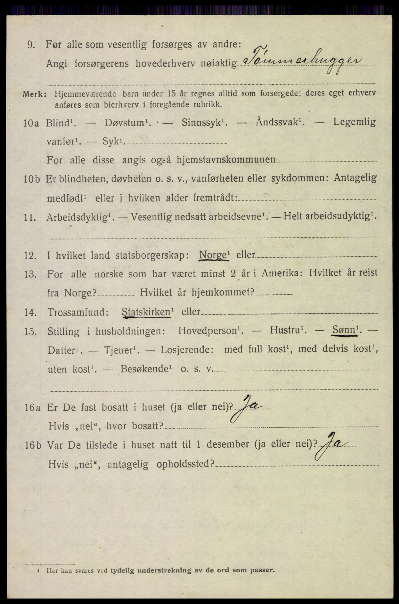 SAH, 1920 census for Trysil, 1920, p. 3074