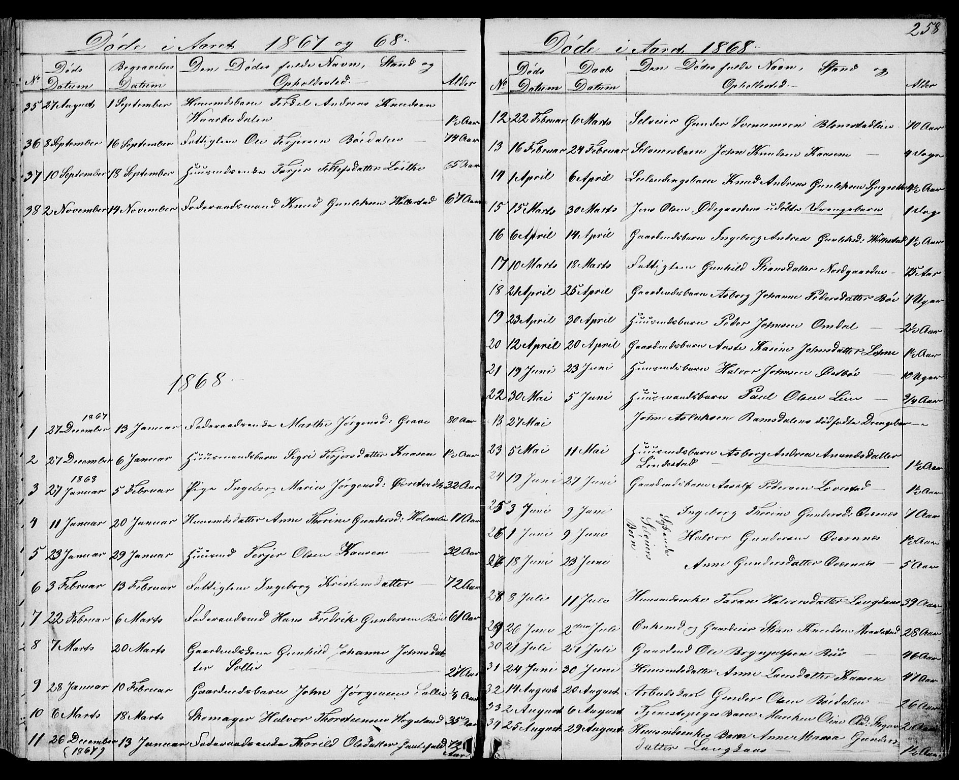 Drangedal kirkebøker, SAKO/A-258/G/Gb/L0001: Parish register (copy) no. II 1, 1856-1894, p. 258