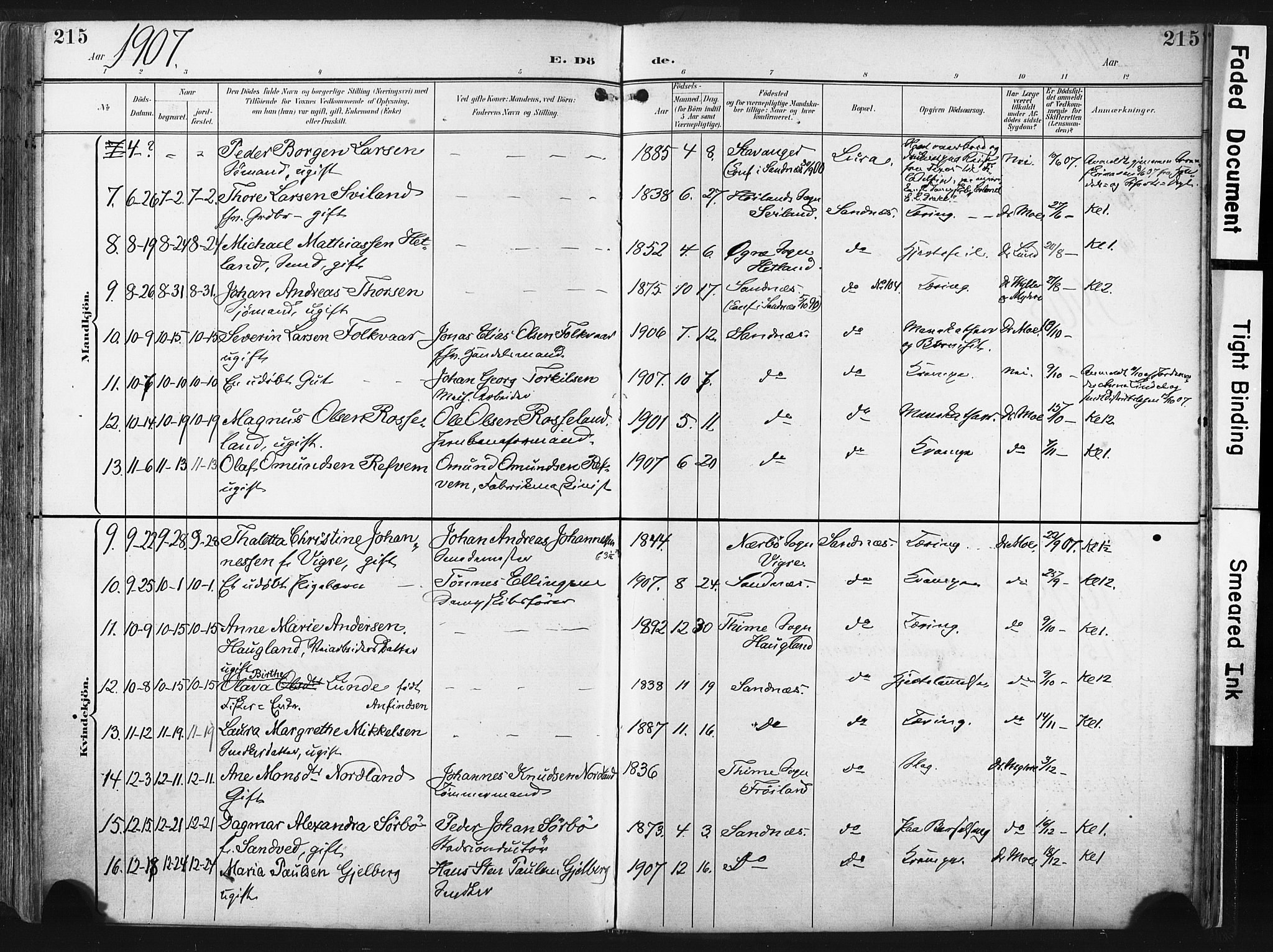 Høyland sokneprestkontor, AV/SAST-A-101799/001/30BA/L0016: Parish register (official) no. A 16, 1899-1911, p. 215