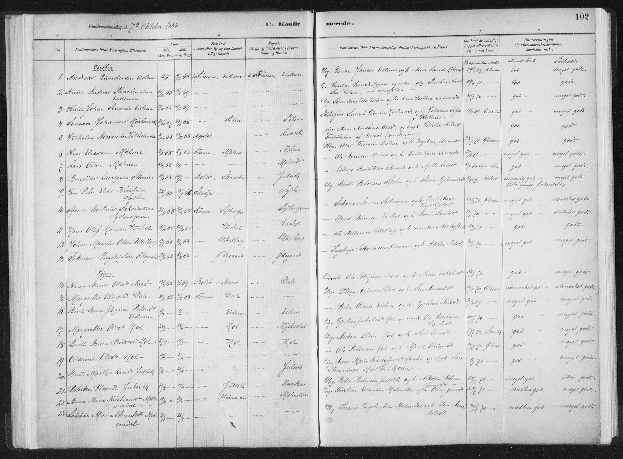 Ministerialprotokoller, klokkerbøker og fødselsregistre - Møre og Romsdal, AV/SAT-A-1454/564/L0740: Parish register (official) no. 564A01, 1880-1899, p. 102