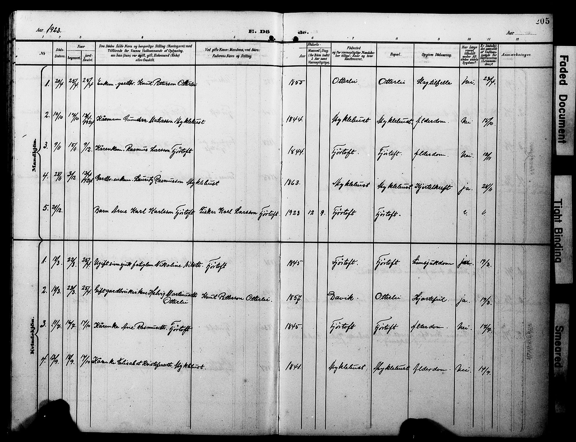 Ministerialprotokoller, klokkerbøker og fødselsregistre - Møre og Romsdal, AV/SAT-A-1454/538/L0524: Parish register (copy) no. 538C02, 1901-1931, p. 205