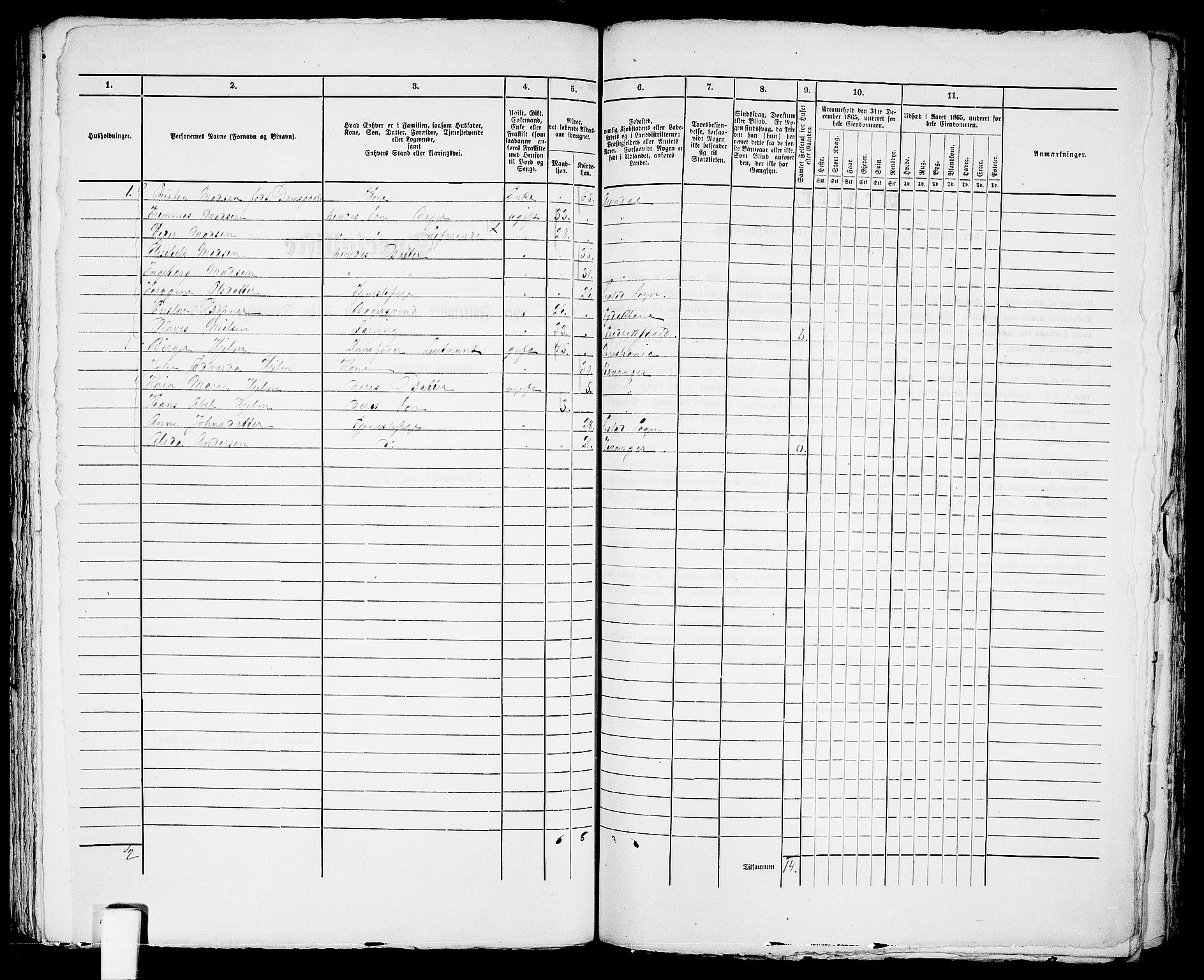 RA, 1865 census for Arendal, 1865, p. 254