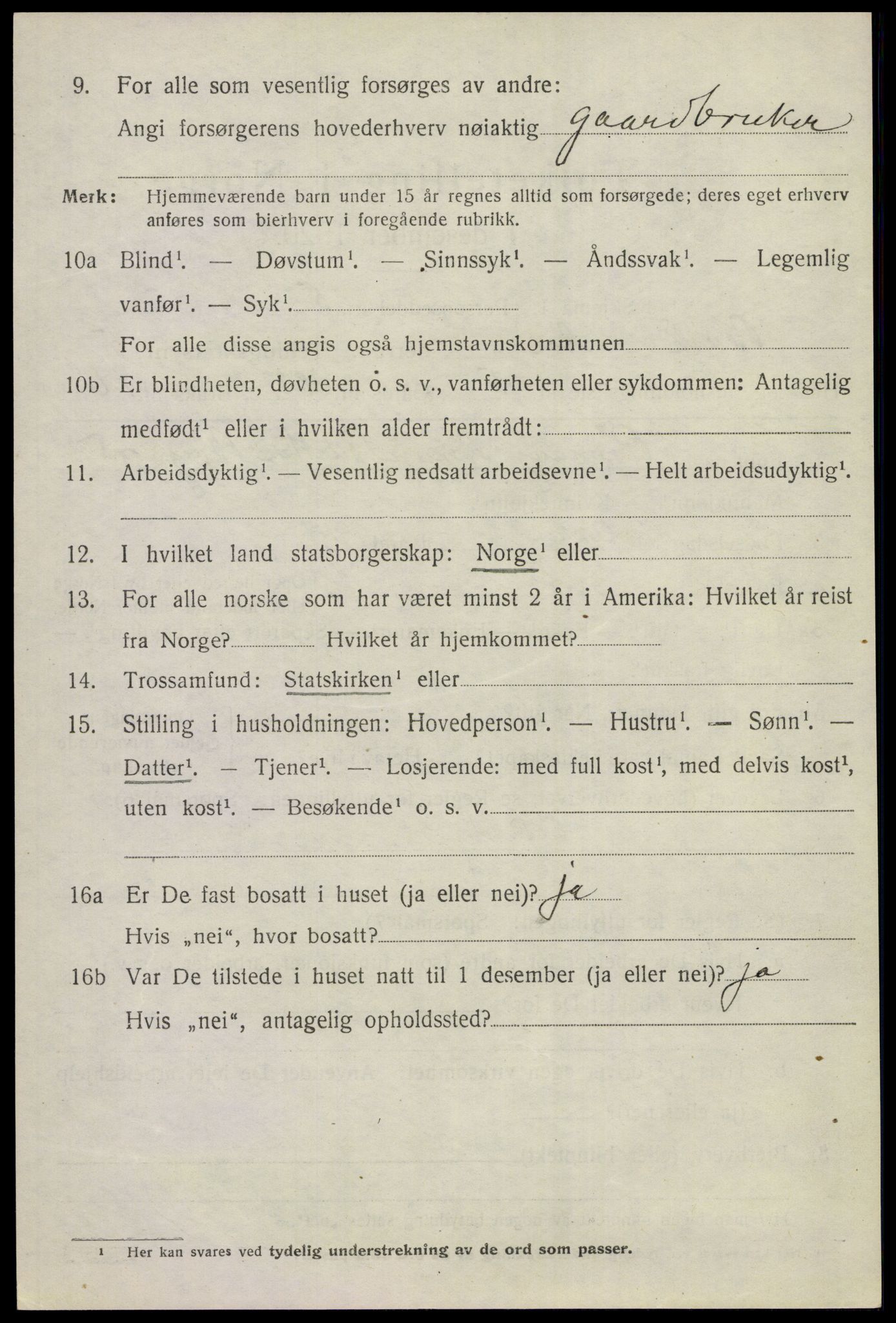 SAKO, 1920 census for Ål, 1920, p. 3907