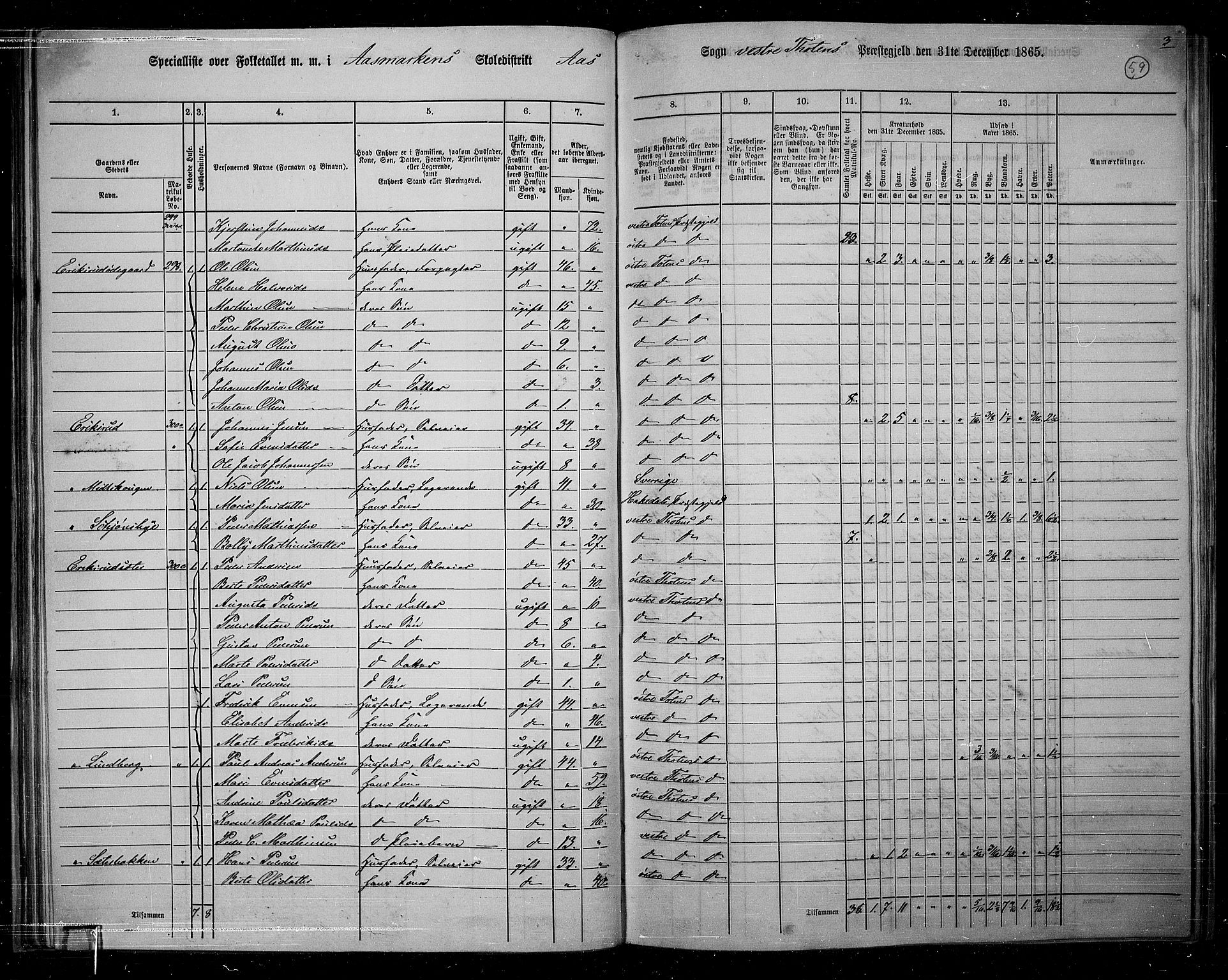 RA, 1865 census for Vestre Toten, 1865, p. 55