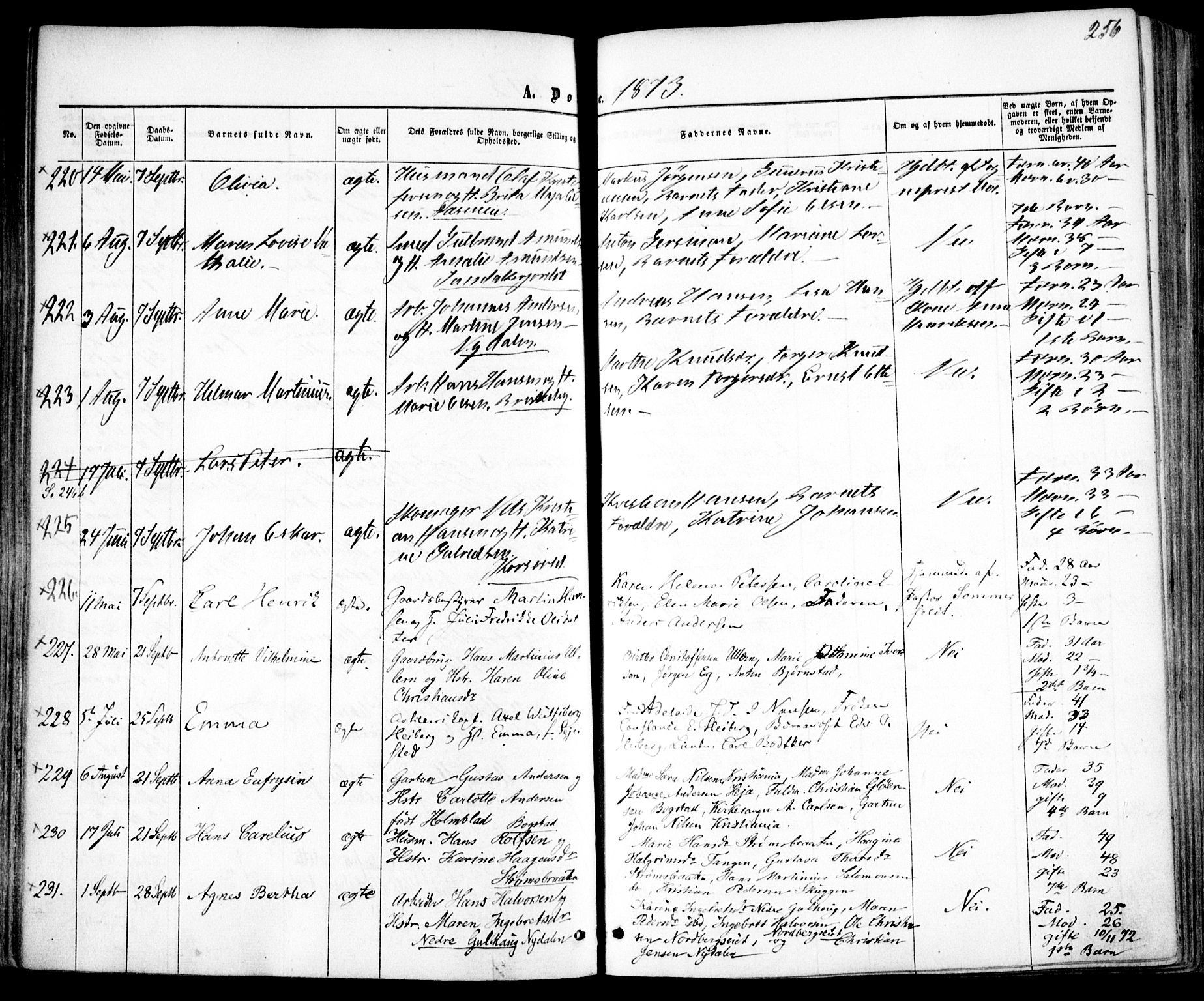 Vestre Aker prestekontor Kirkebøker, SAO/A-10025/F/Fa/L0004: Parish register (official) no. 4, 1857-1877, p. 256